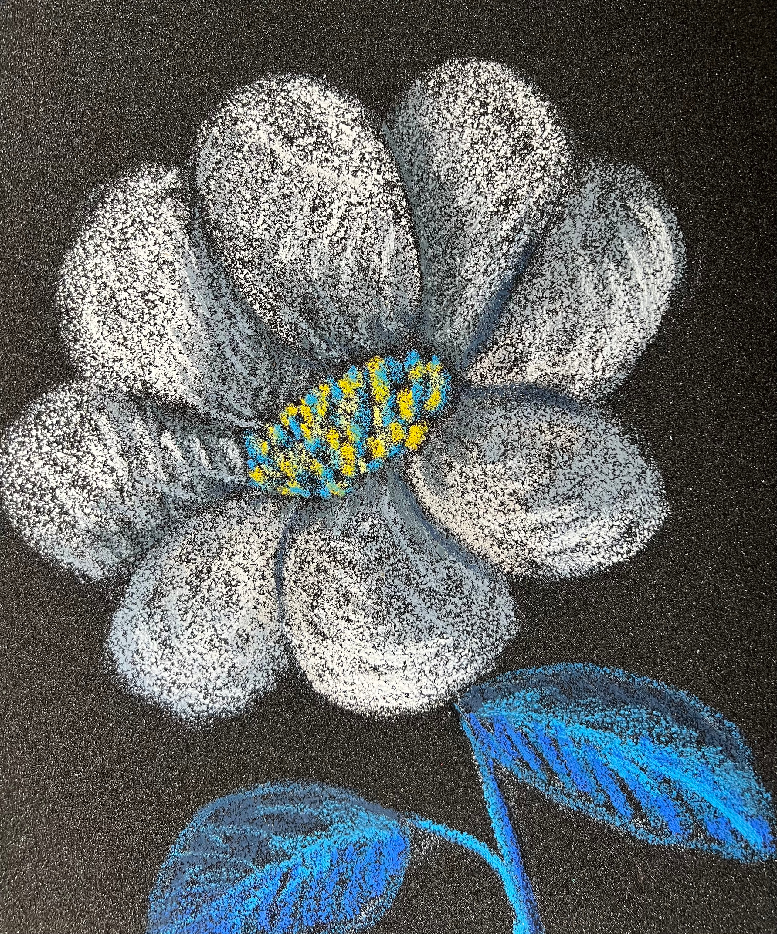 Title: Chamomile Material: Oil pastel, paper Size: 28 x 23 cm