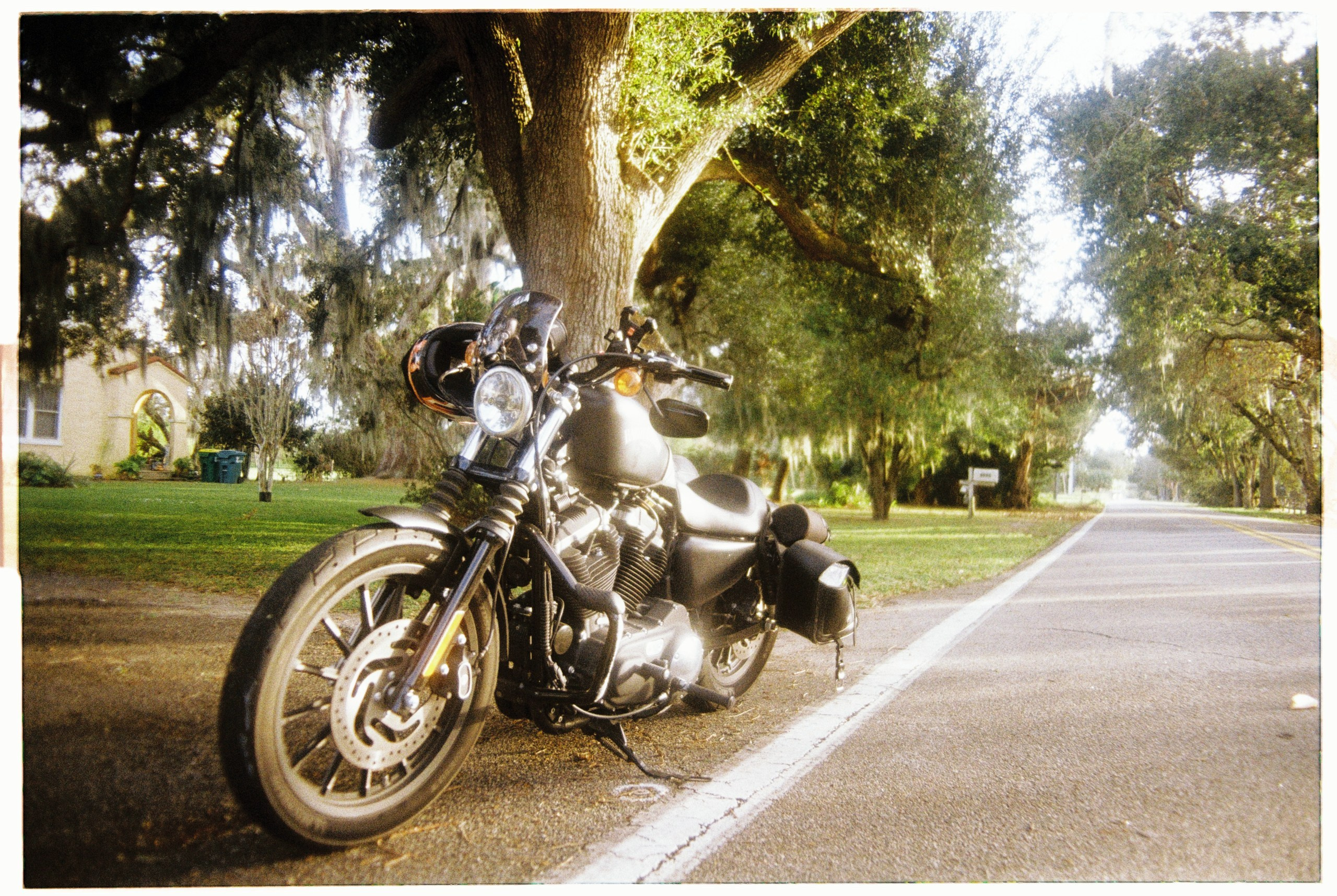 Florida. Егор Фотобрат — Портретный фотограф теперь в Ташкенте