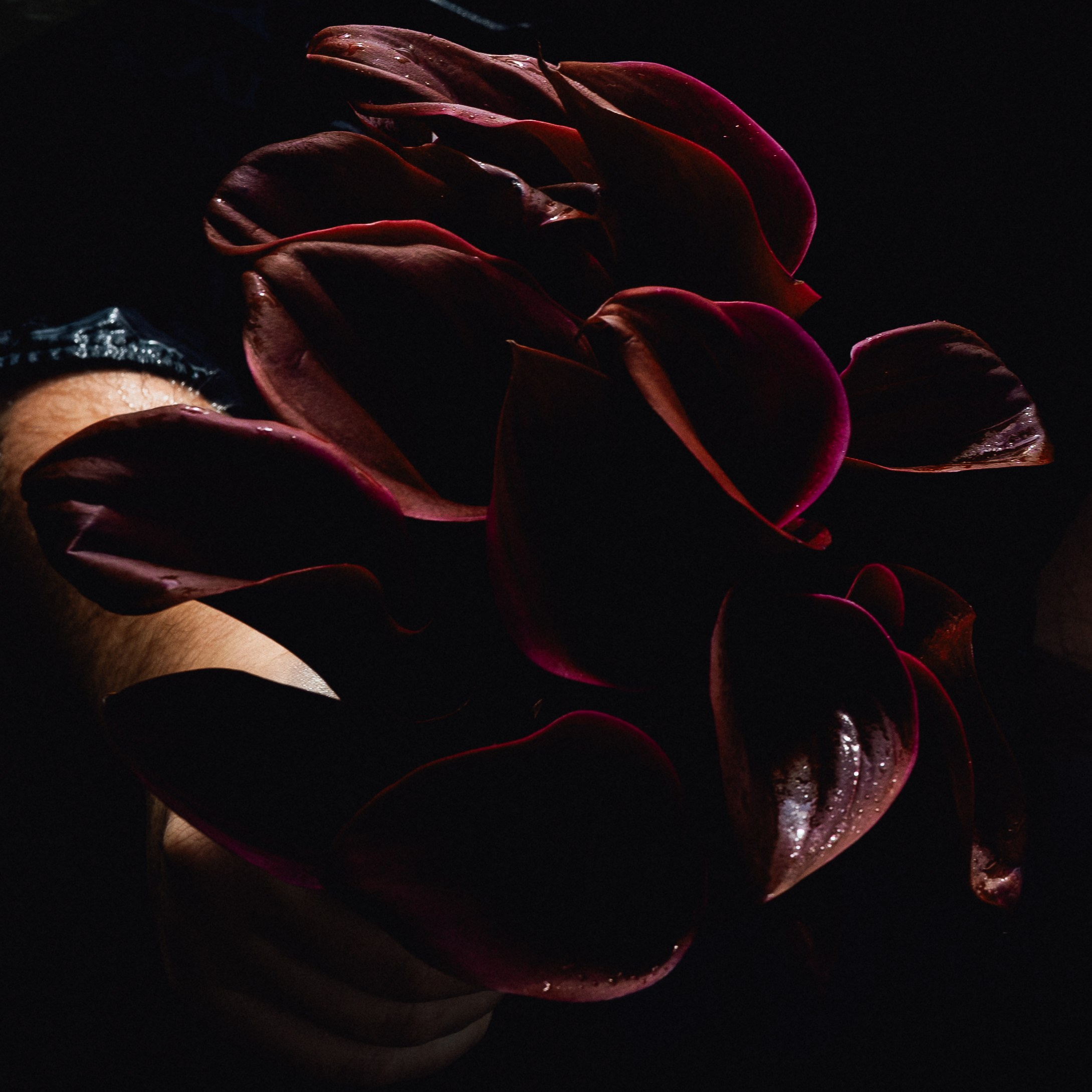 Галерея. Фотоведьма Дарья Нечинская