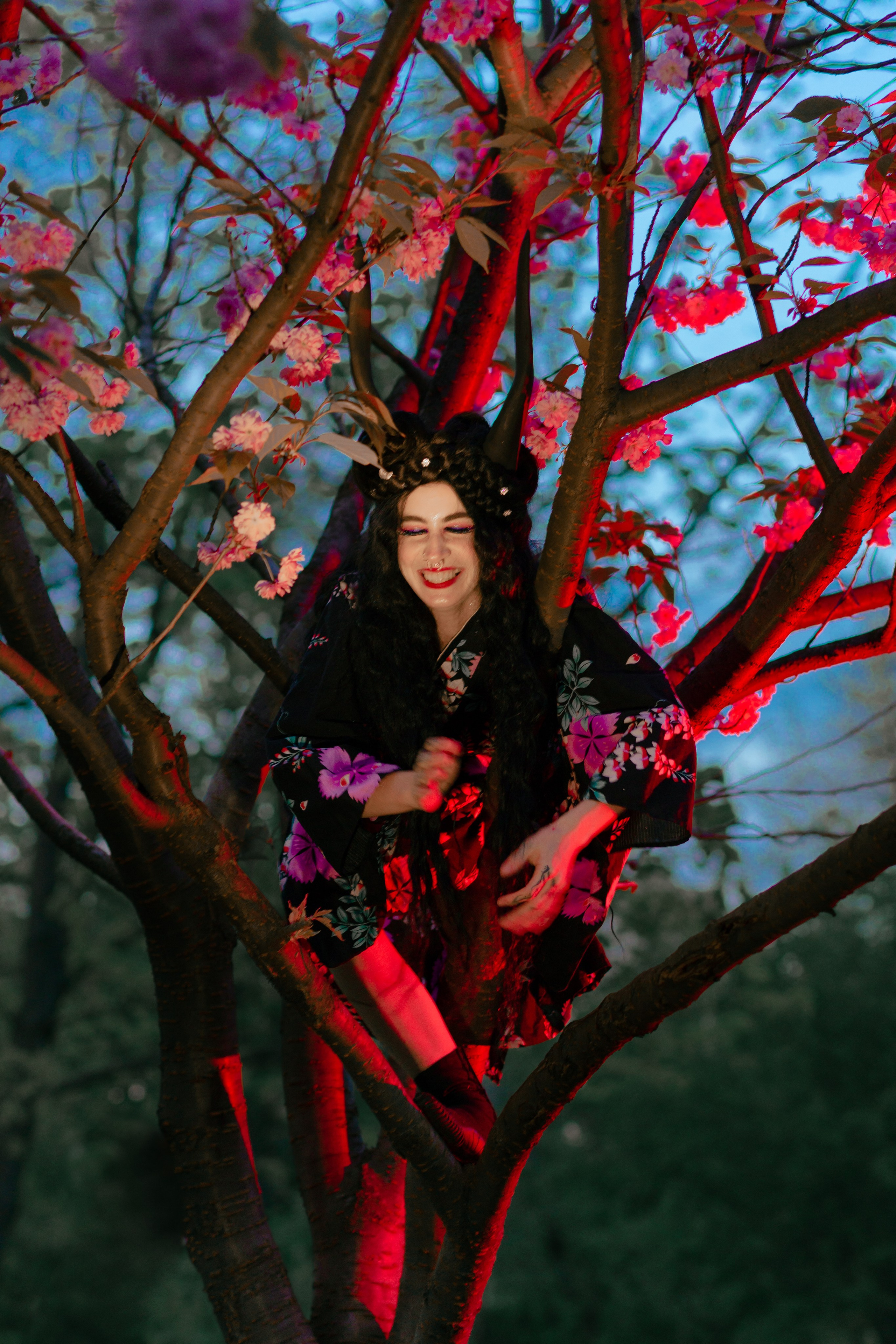 Кирисакура- соцветия вишни в тумане