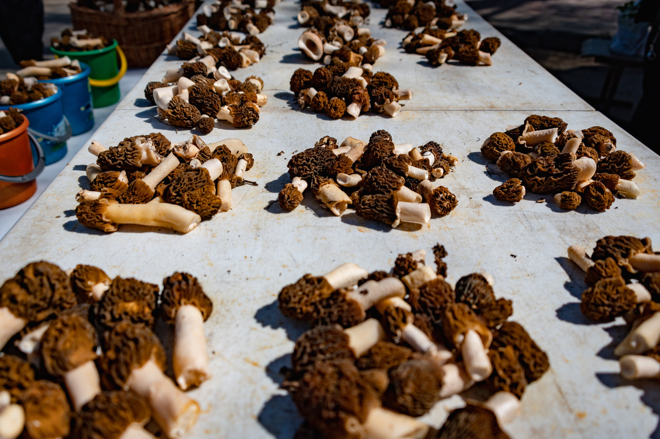 Кострома. Май 2023. Фотограф Роман Адлер