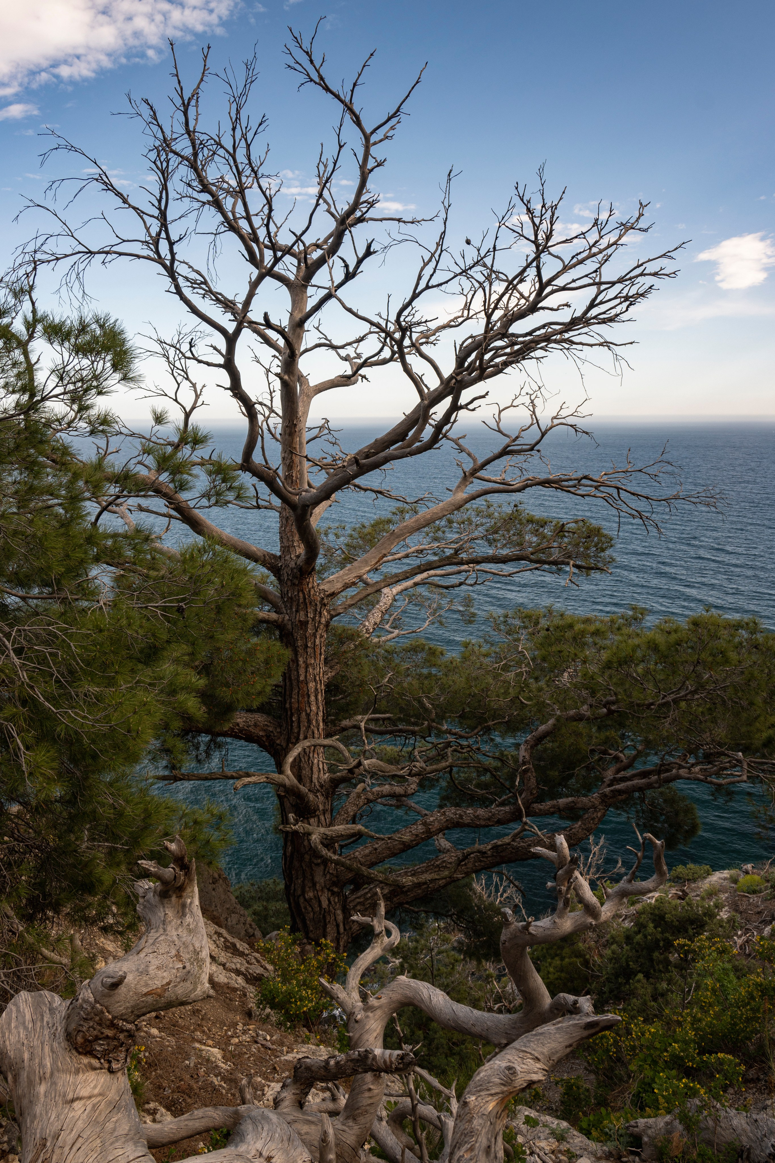 Крым май 2022. Фотограф Роман Адлер