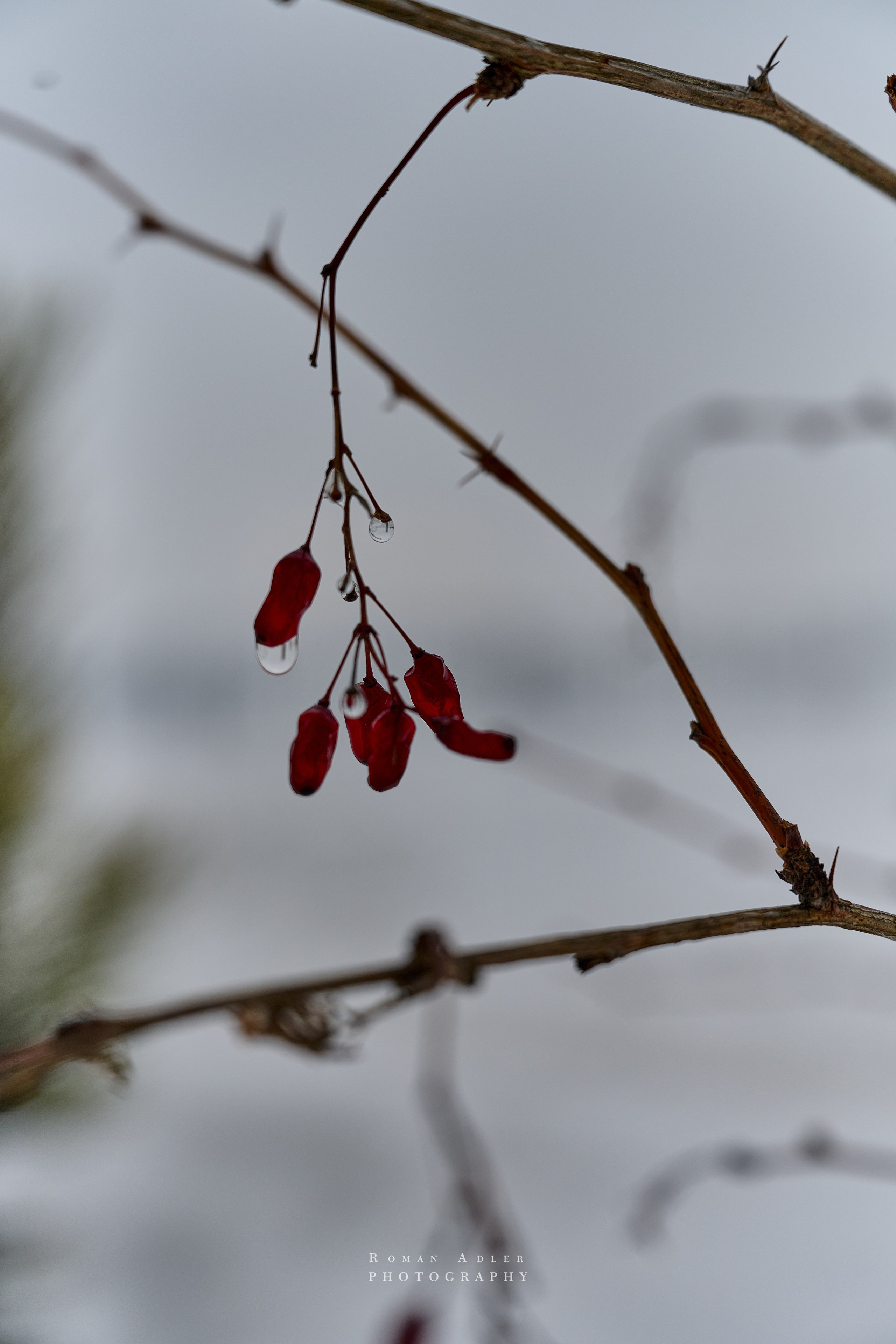 Тобольск. Март 2025. Фотограф Роман Адлер