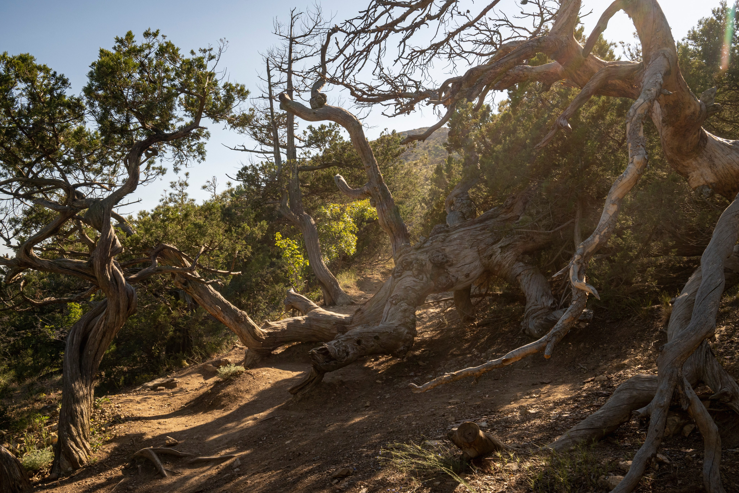 Крым май 2022. Фотограф Роман Адлер
