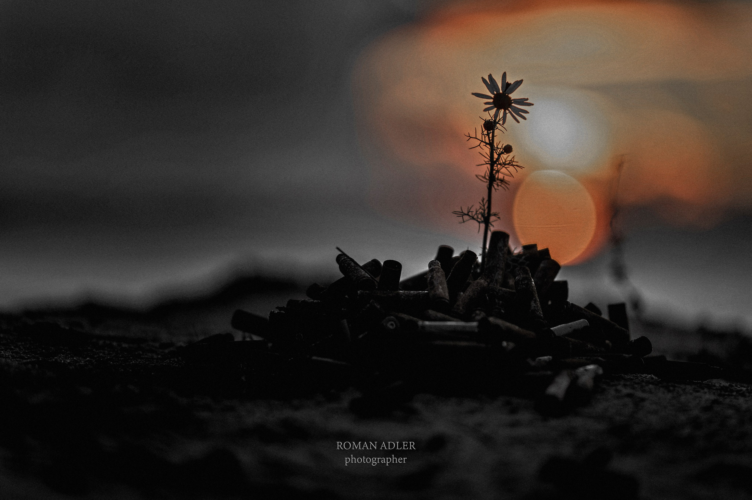 Памяти павшим 2021. Фотограф Роман Адлер