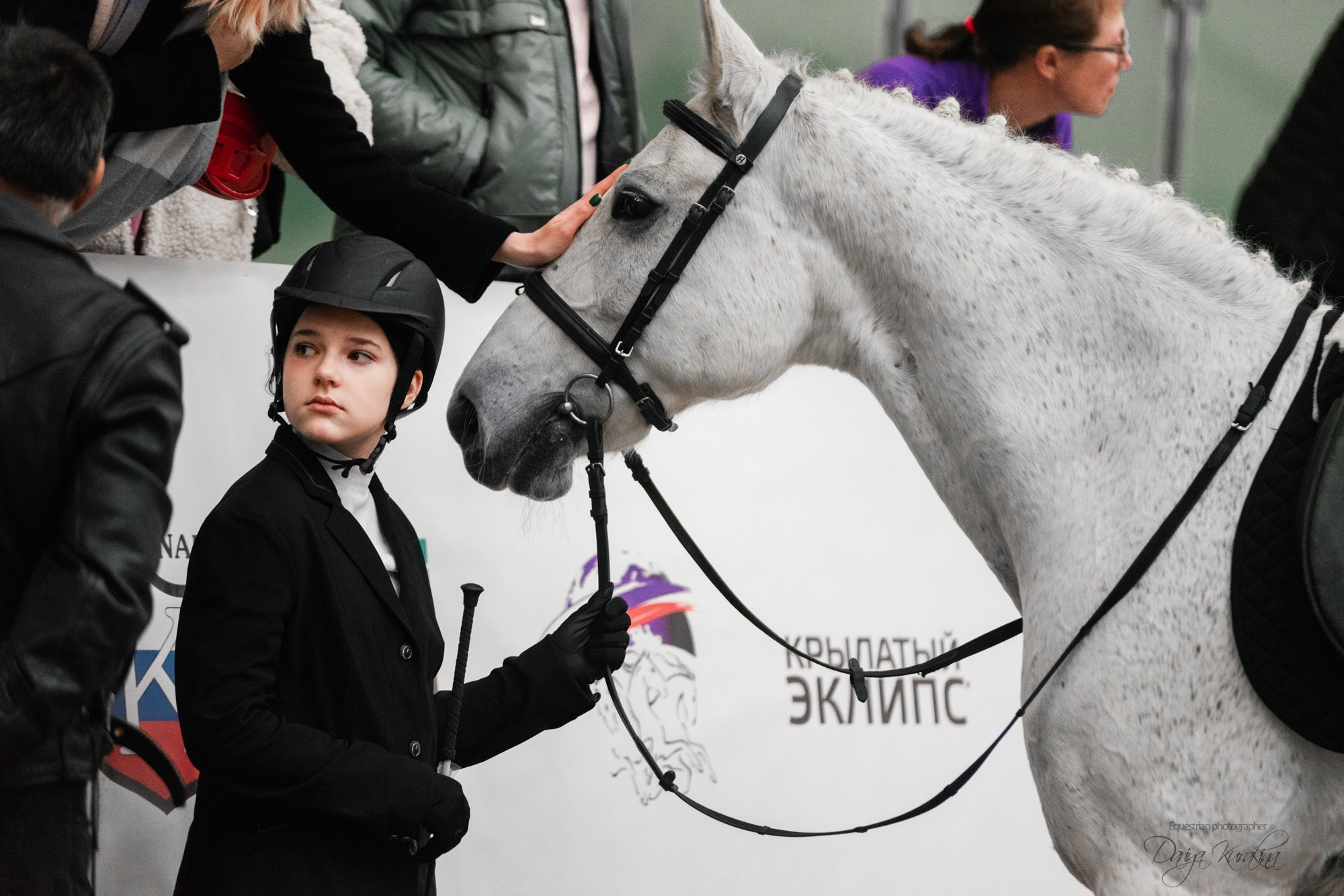 8-я международная выставка Конная Россия. Конный фотограф Куракина Дарья • Фотосессии с лошадьми