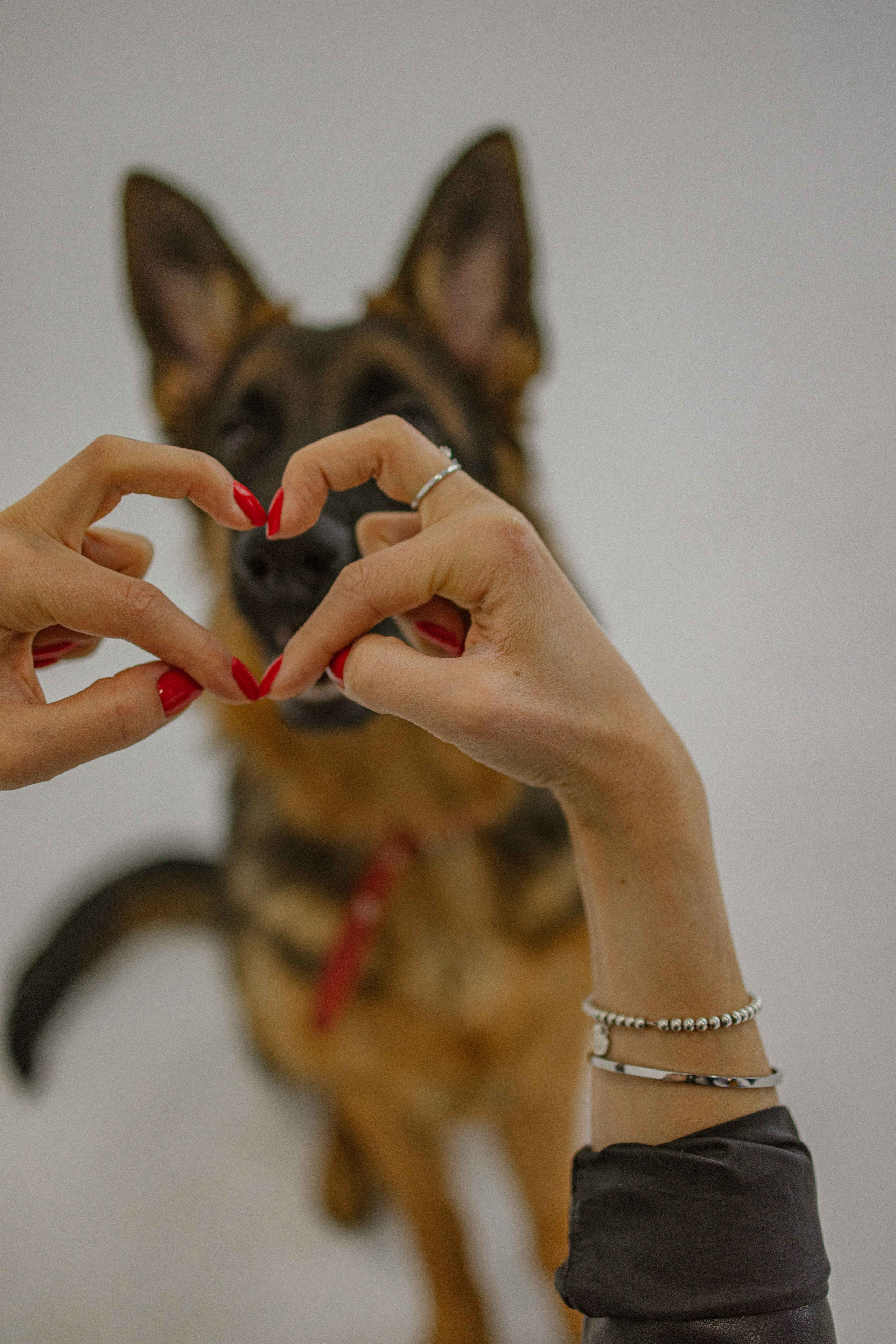 Ася и Буся. Фотограф-анималист в Москве Лера Черноног