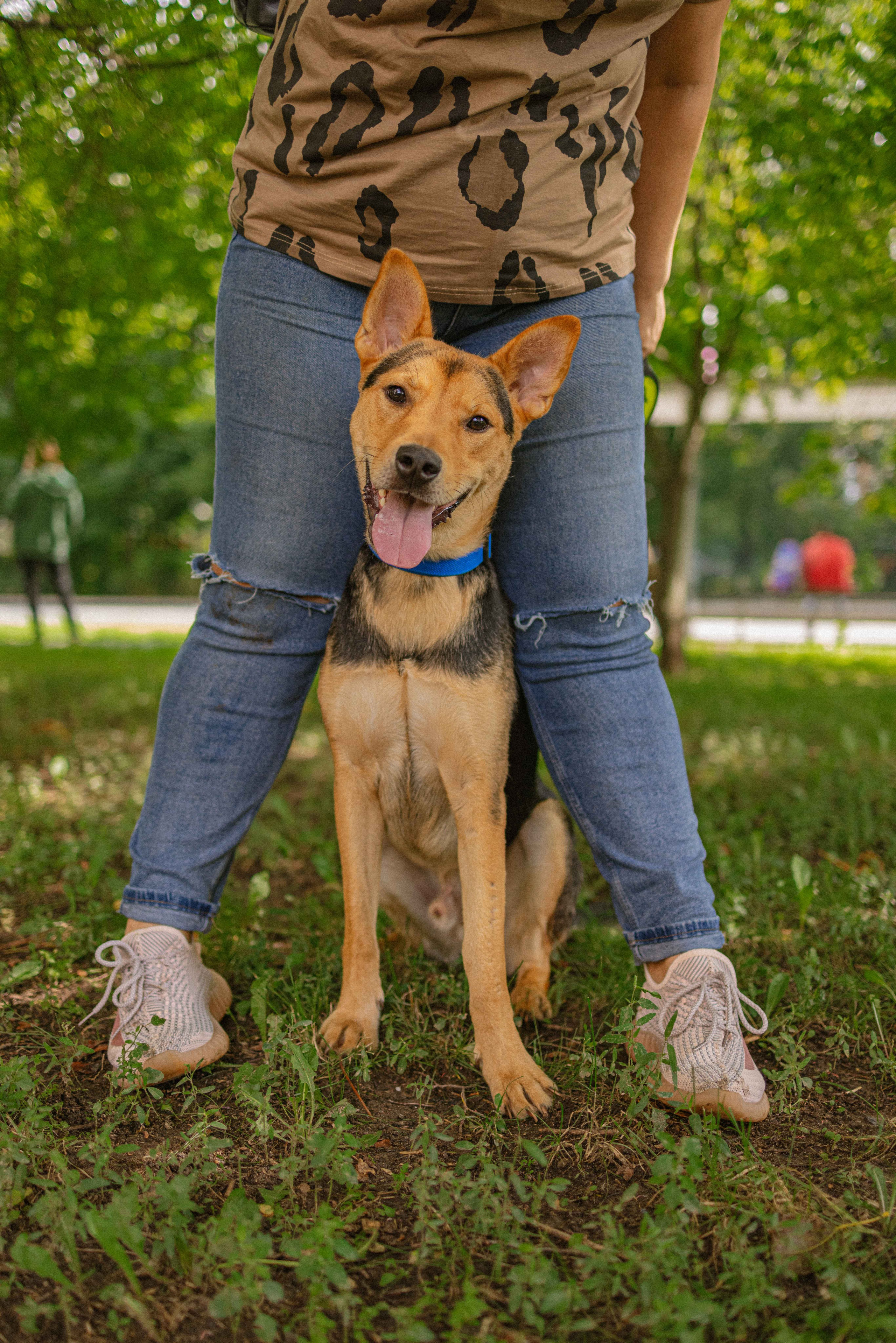 Джеки. Фотограф-анималист в Москве Лера Черноног