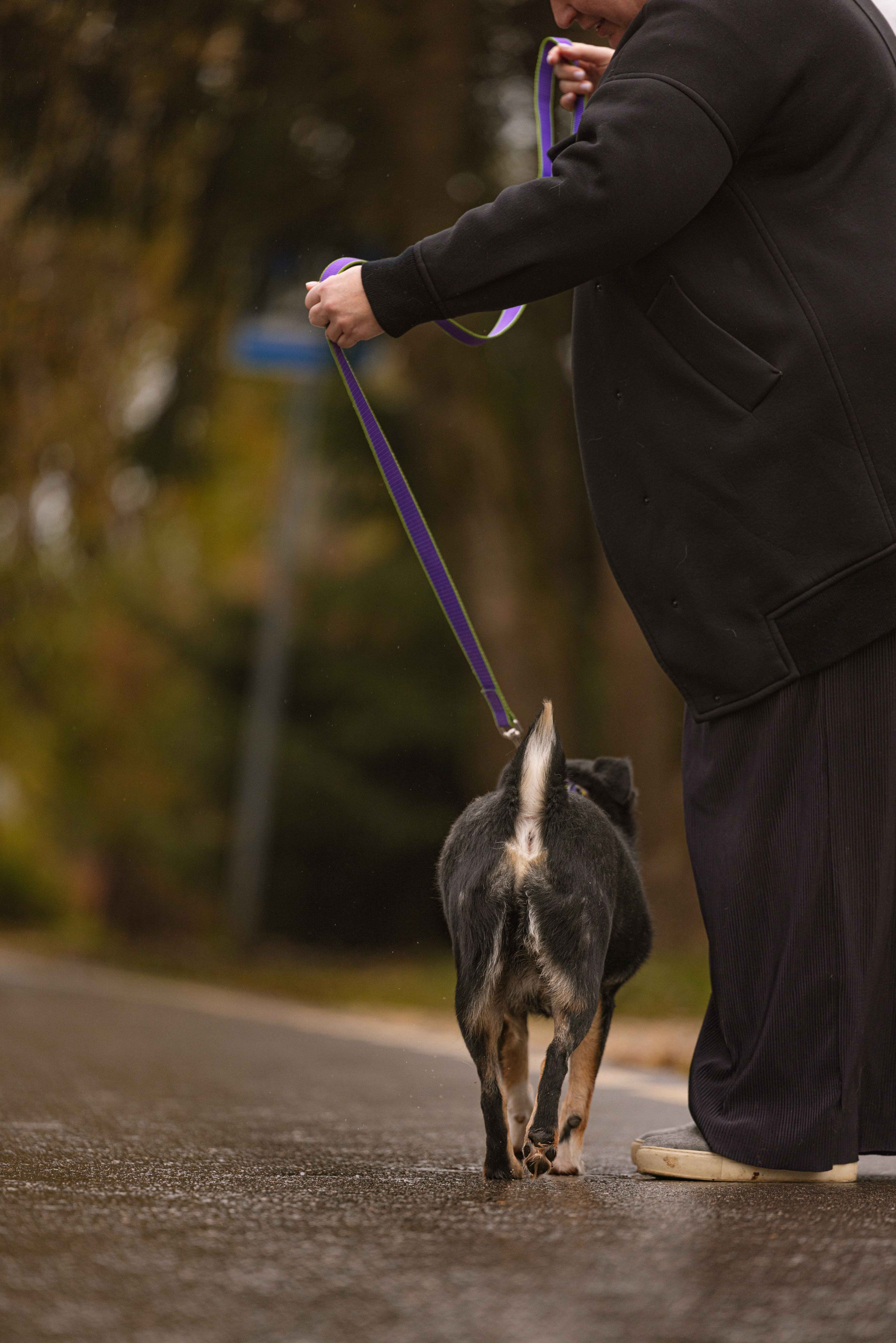 Передержка. Фотограф-анималист в Москве Лера Черноног
