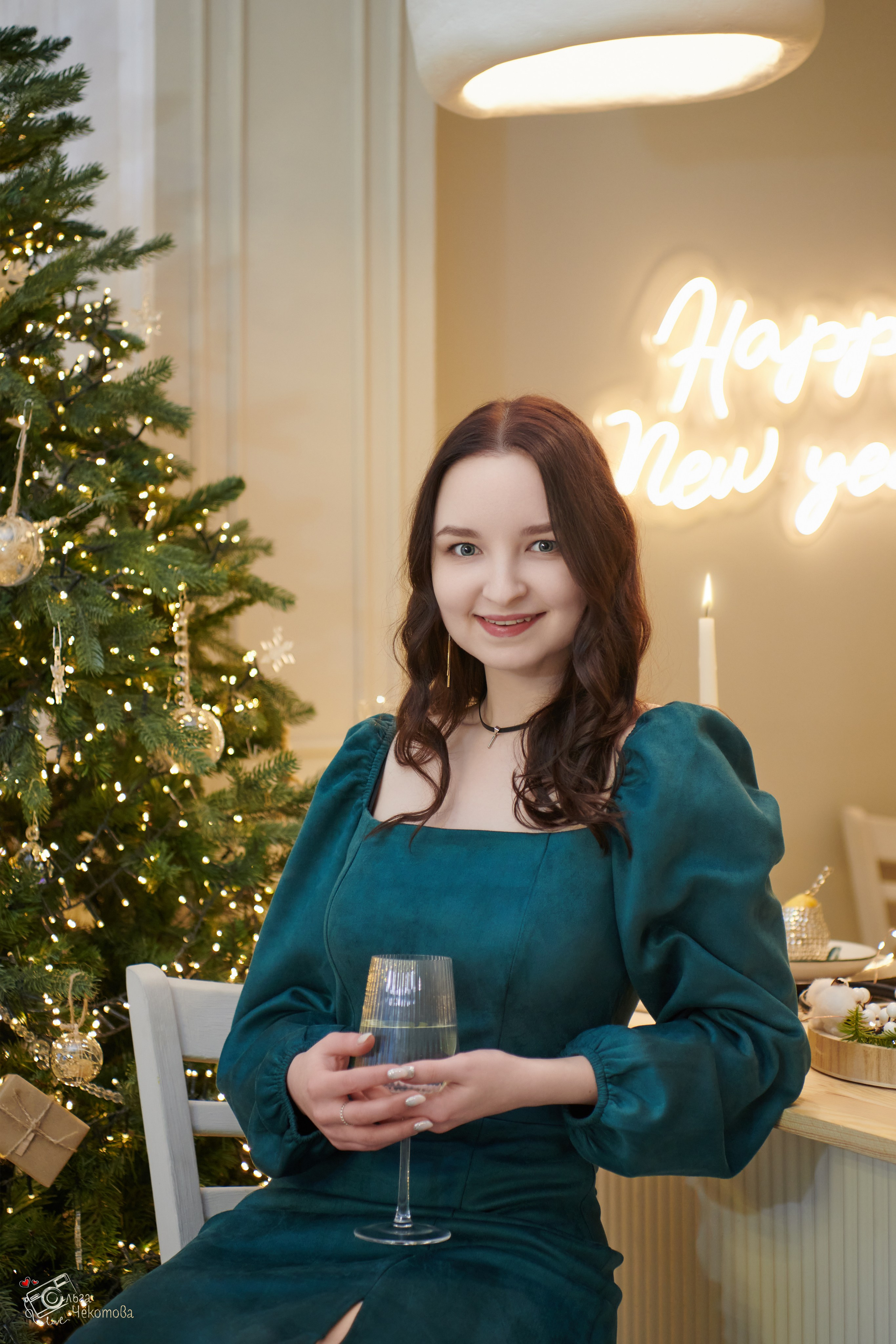 Новогодняя сказка для Натальи. Ольга Чёкотова (Фотограф Кострома)