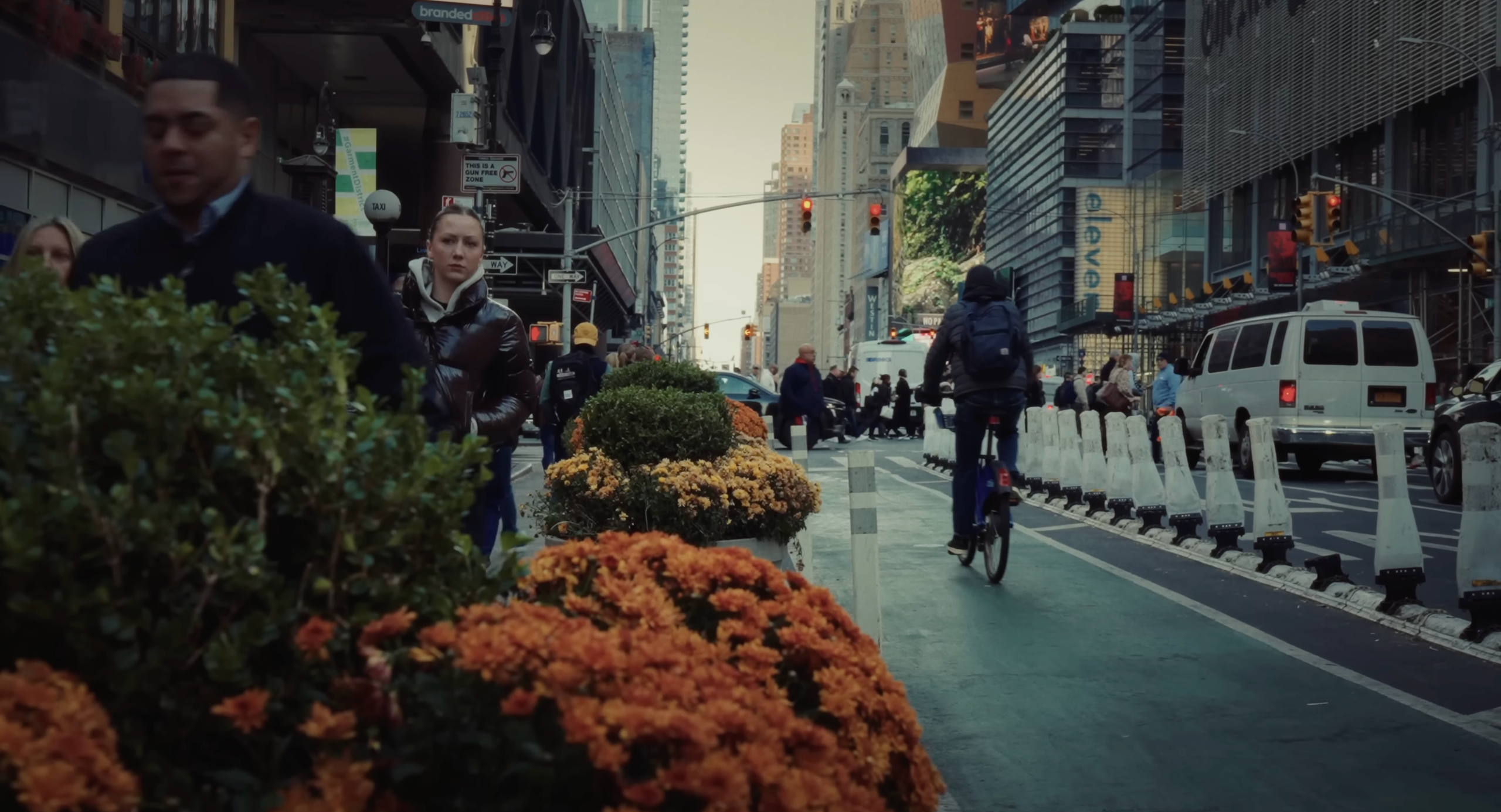 My transformation or how I became homeless in the USA. Tokcolor