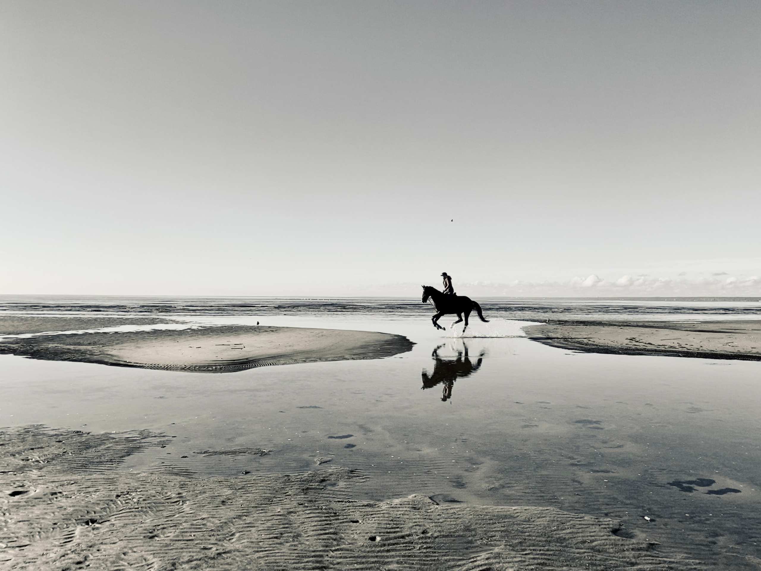 Решающий момент — авторская фотография Ма. Ма
