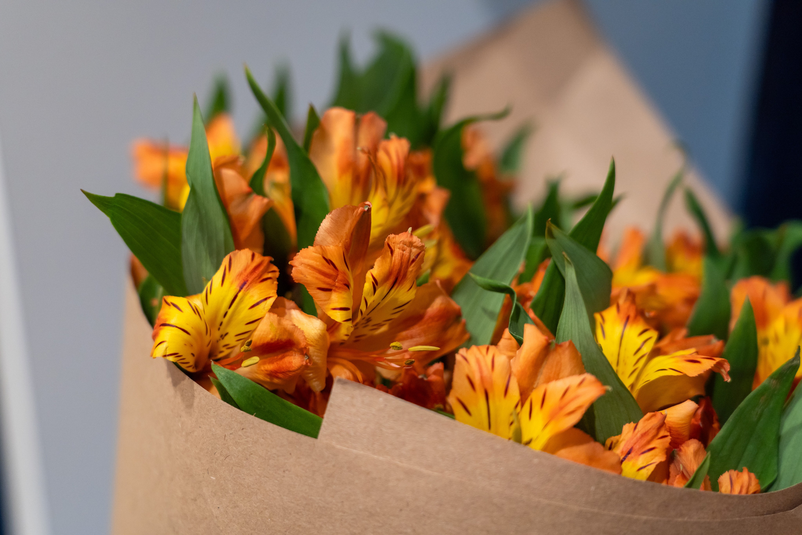 День работника HR в Авито. Главная