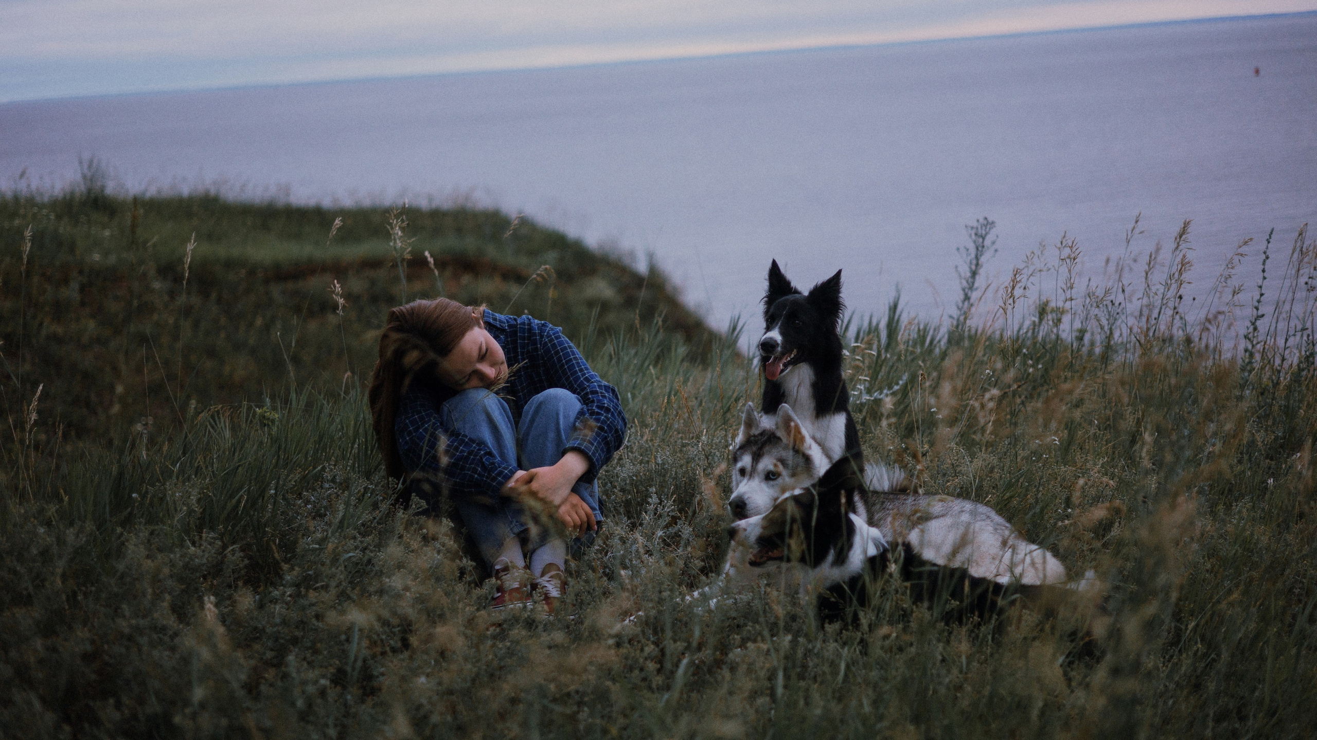 Аделя, Вандер, Шайна и Бая. Фотограф-анималист Богданова Полина
