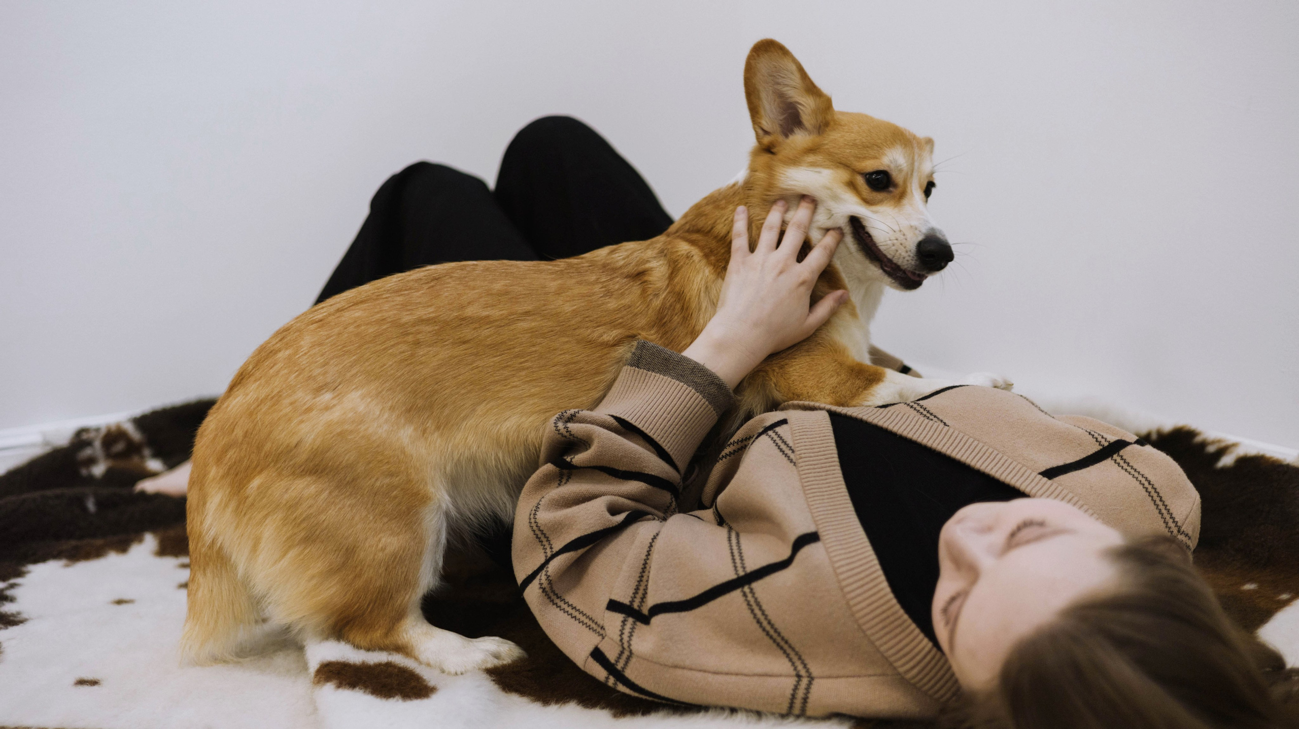 Настя и Мия. Фотограф-анималист Богданова Полина