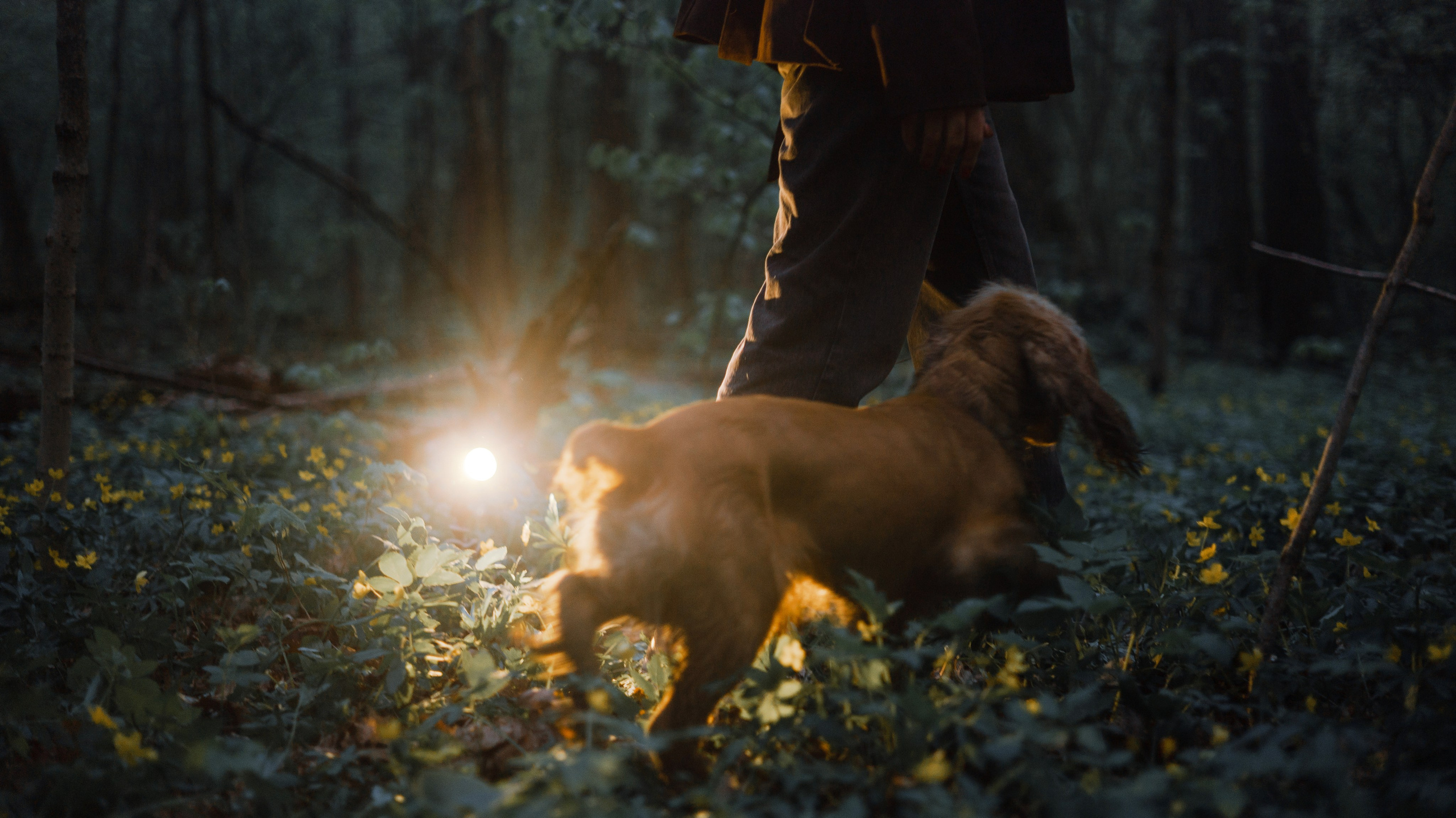 Аня и Юта. Фотограф-анималист Богданова Полина