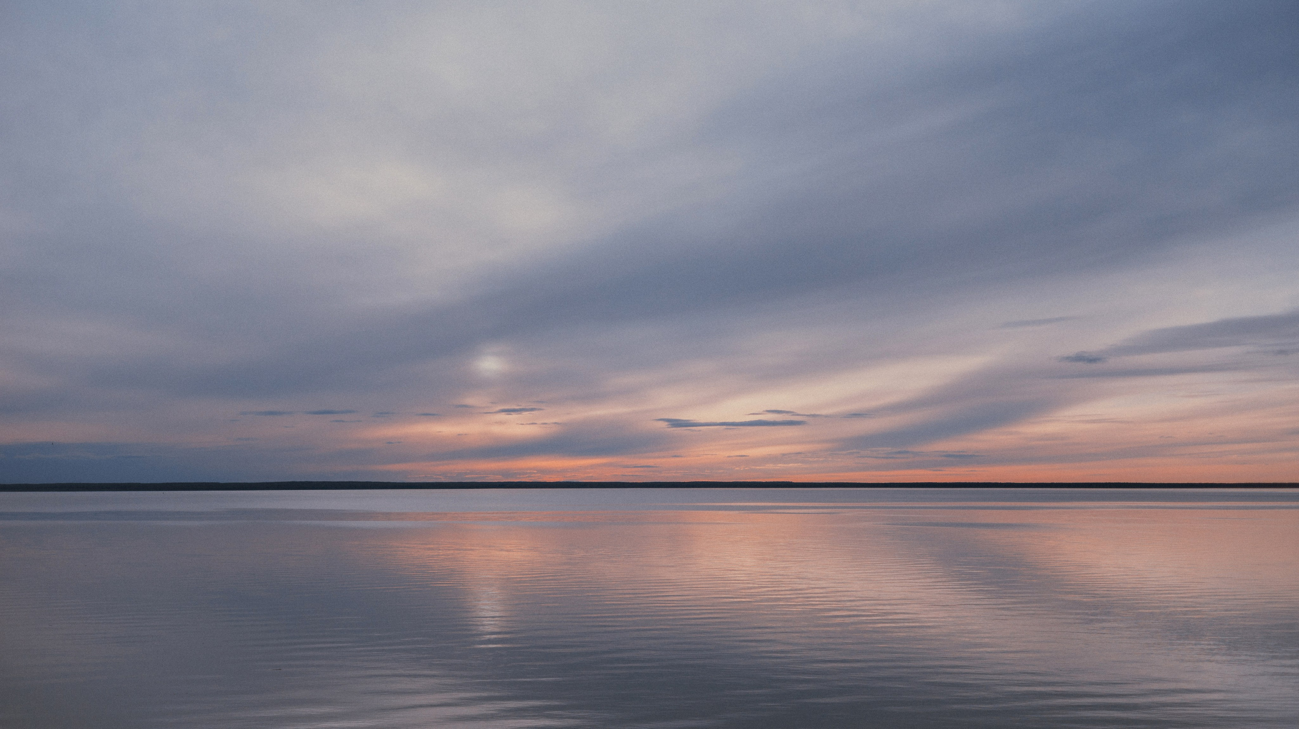 Настя и Бейда. Фотограф-анималист Богданова Полина