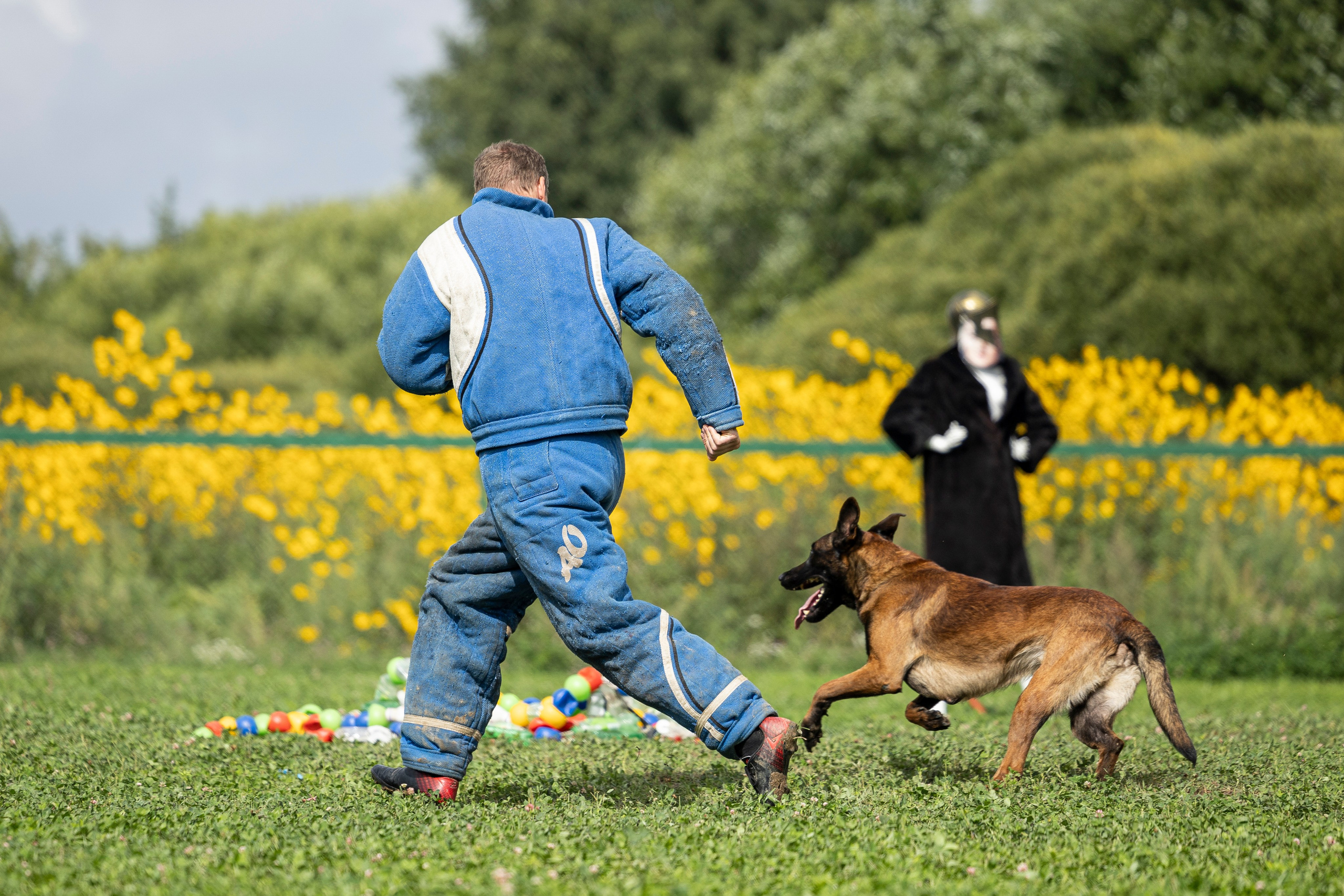 Соревнования по Мондьорингу г. Вологда 10-11.08.2024. Фотограф-анималист Анна Маринич