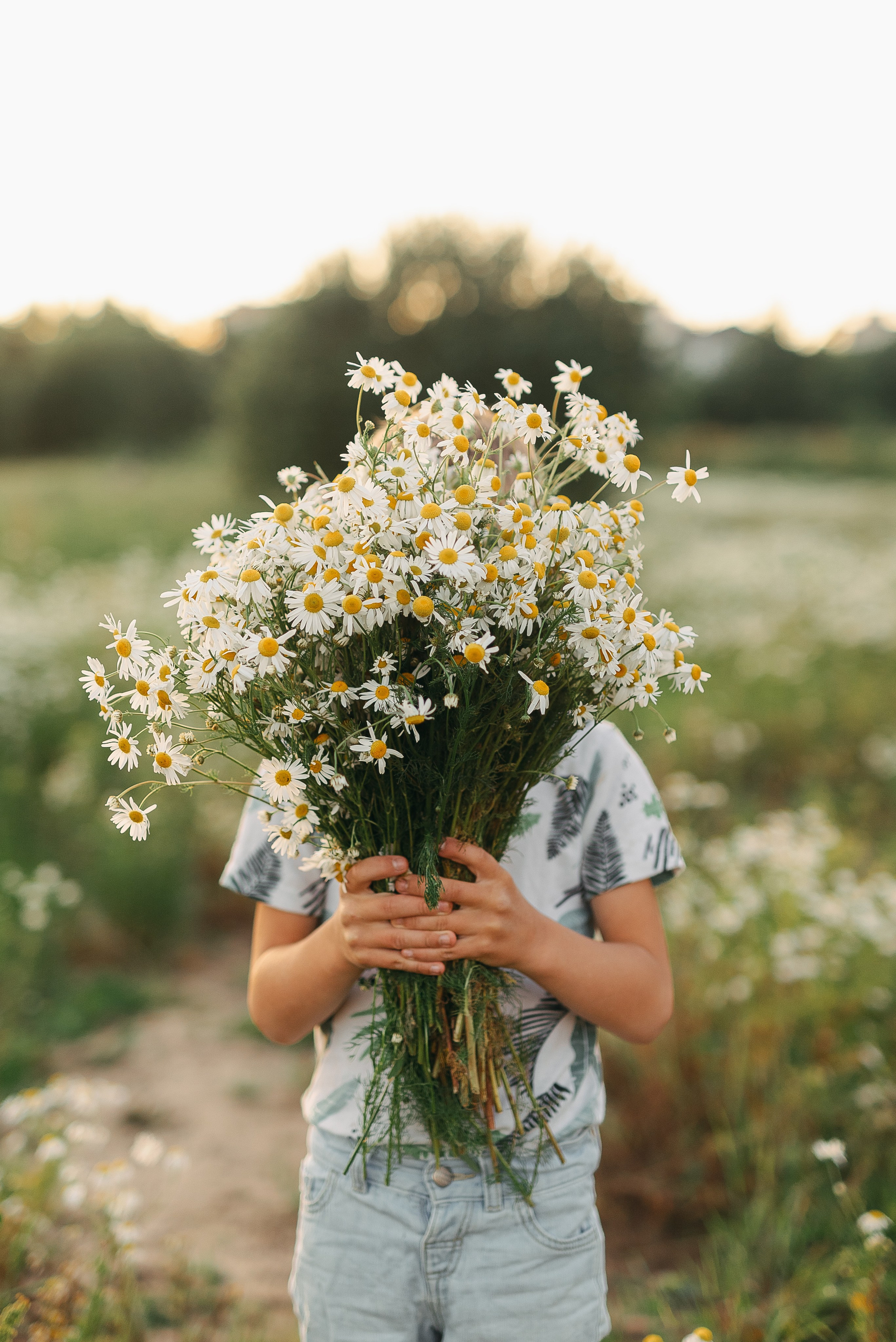 Фотосессия в ромашковом поле. Семейный детский фотограф. Фотосессия в Минске