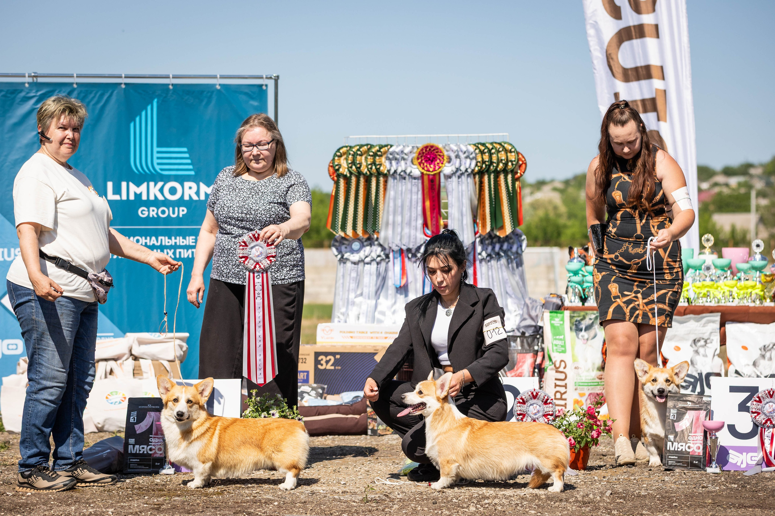 Репортаж (фото с выставок). Фотограф-АниМалист Анна Абрамова