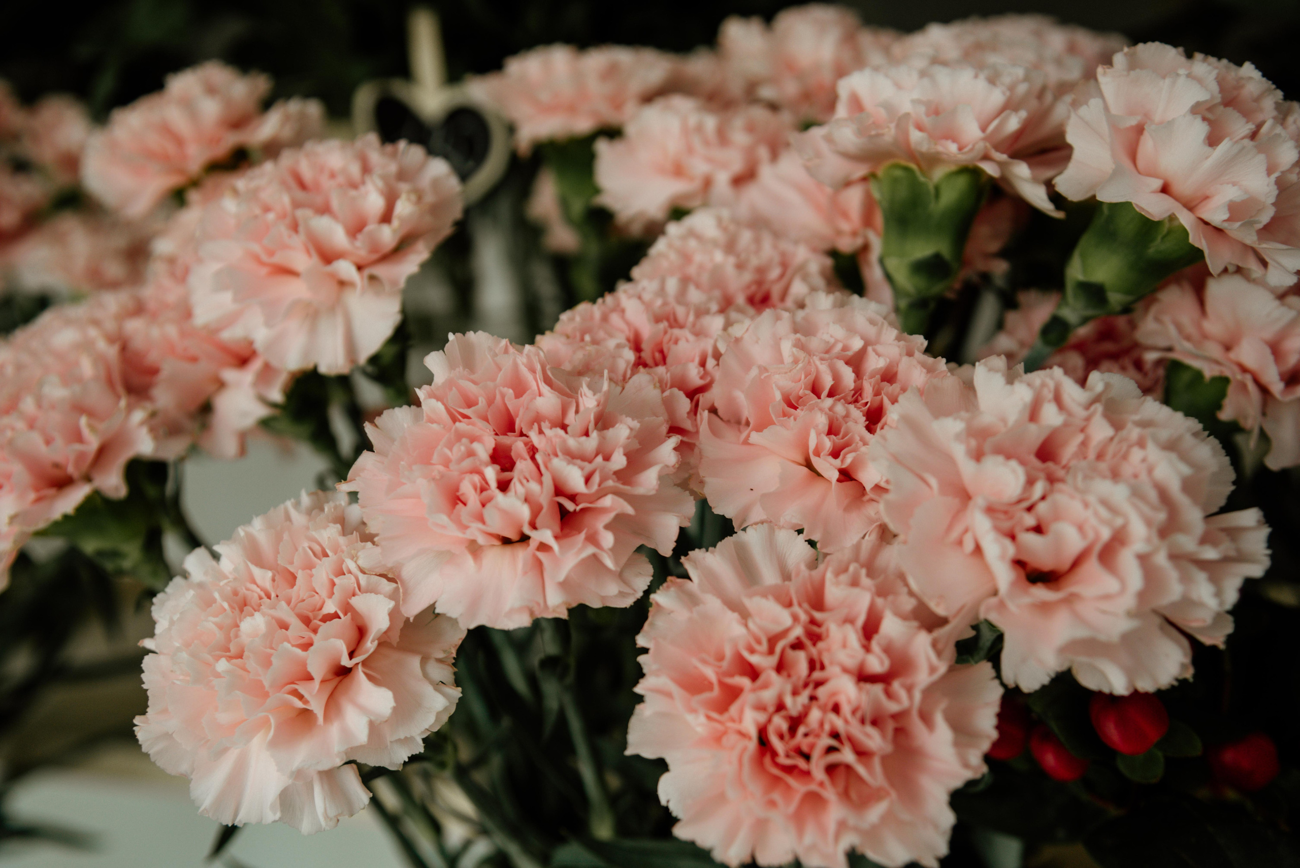 Отзывы. Фотограф Алёна Евграфова