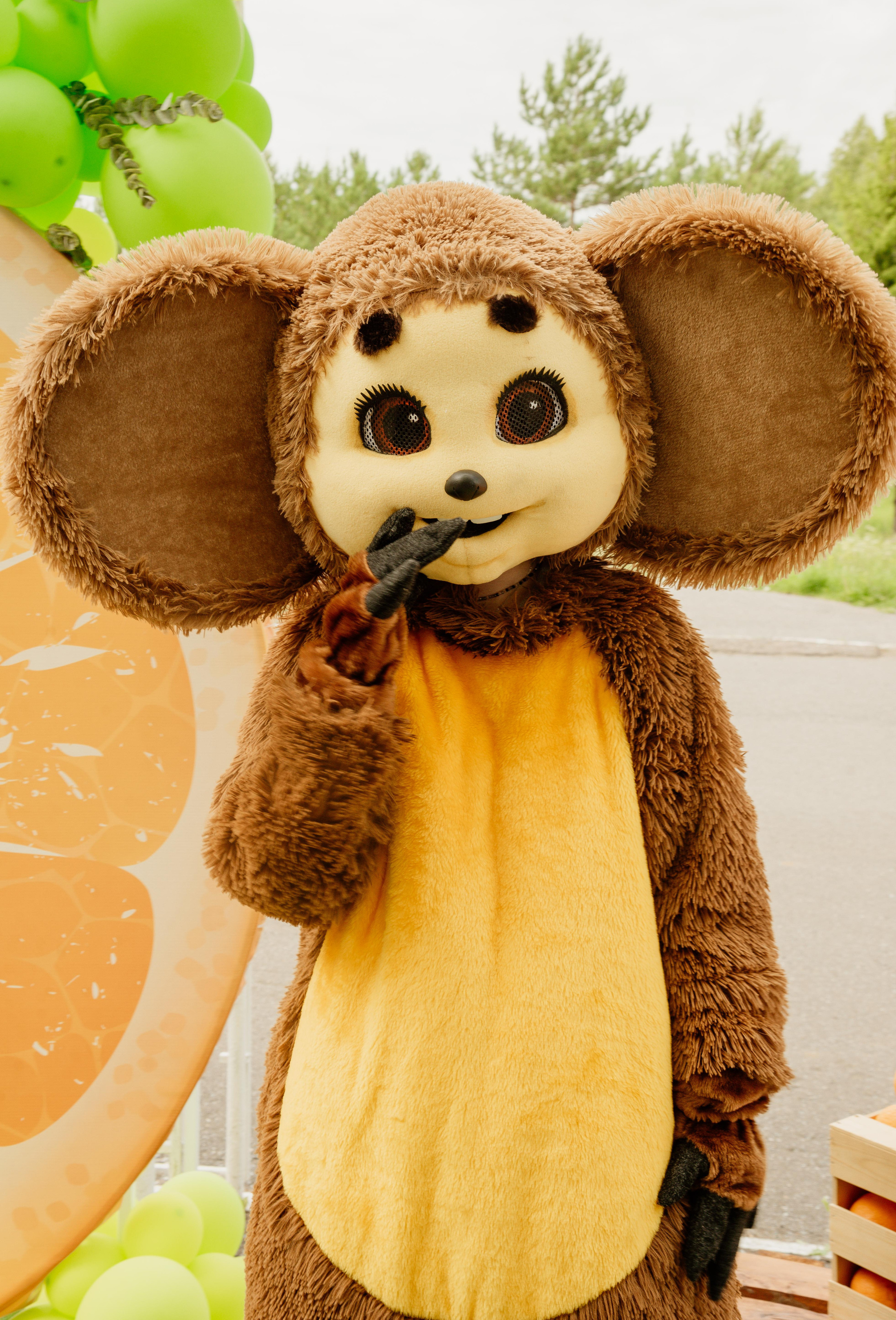 Отзывы. Фотограф Алёна Евграфова