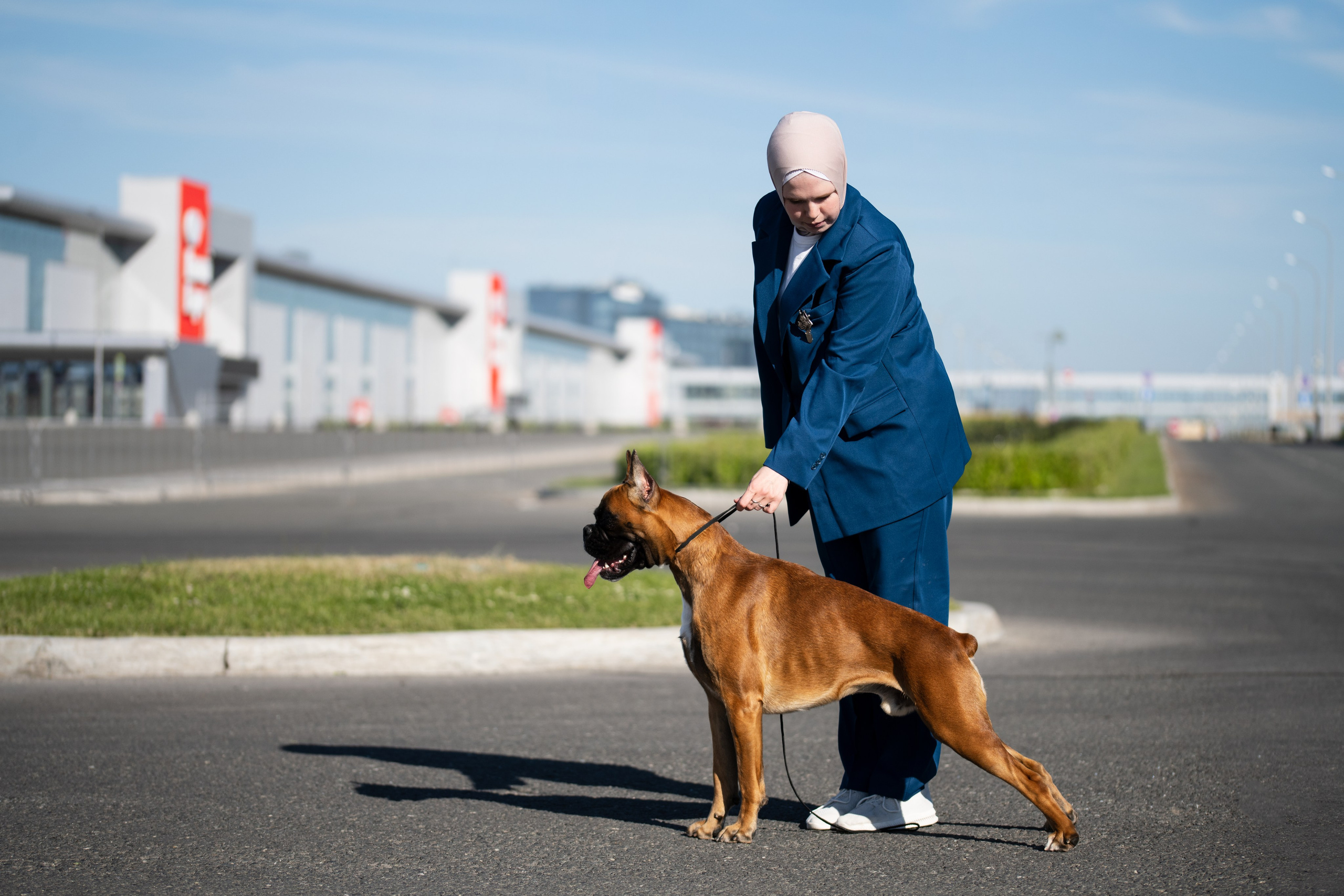 Собаки. FASHION ФОТОГРАФ КАЗАНЬ