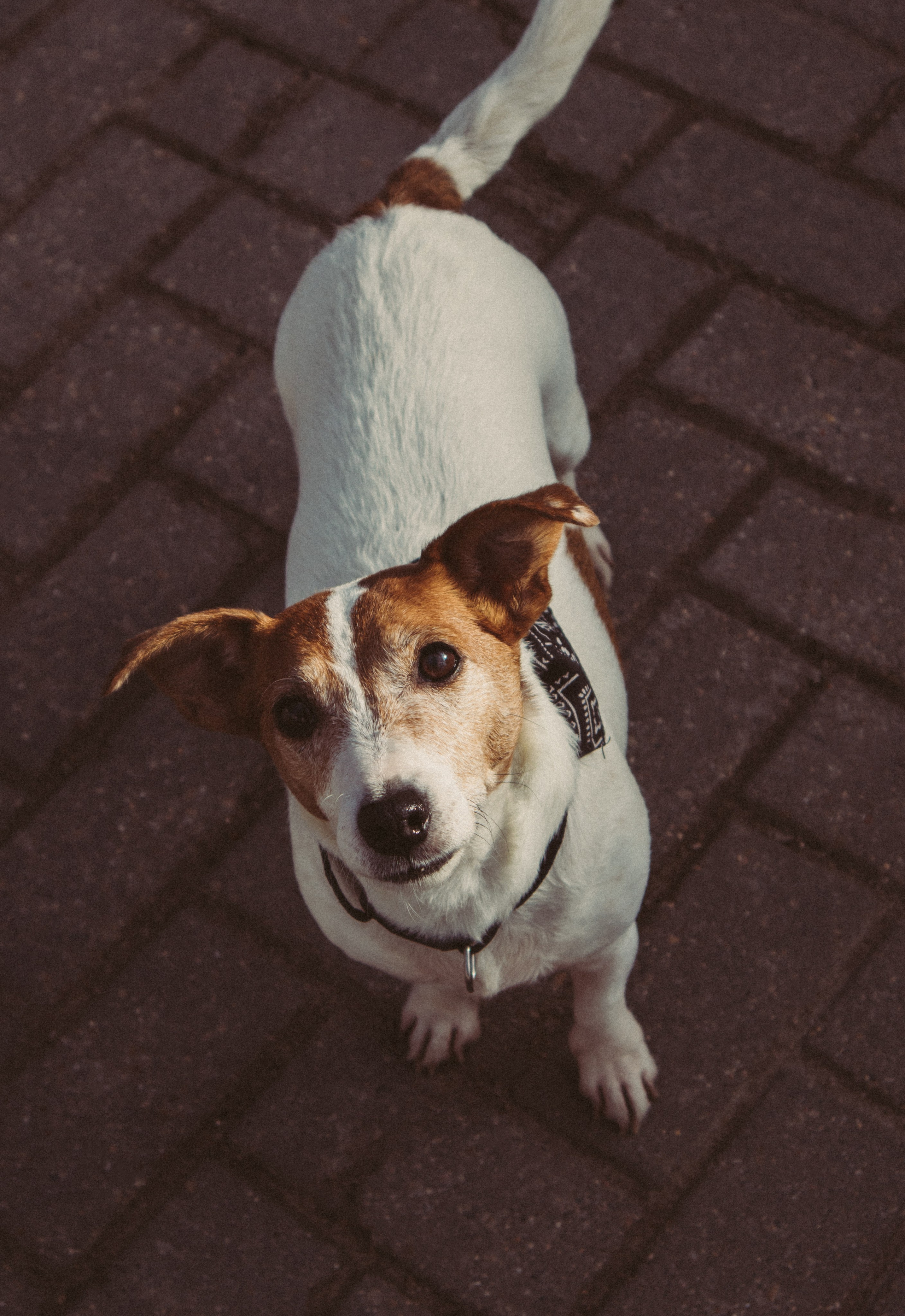 Полина и Греночка. Фотограф в Твери Дарья Уткина