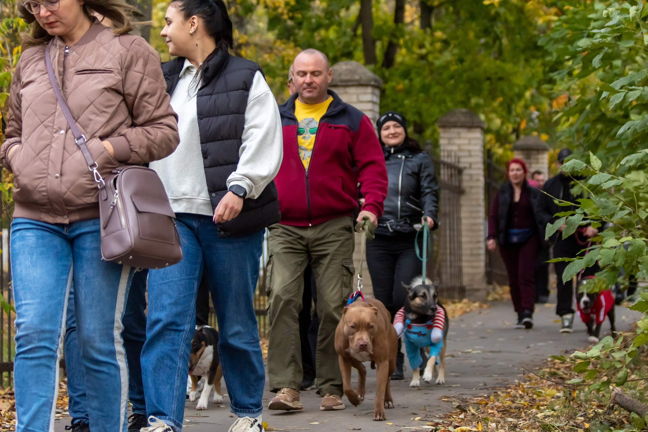 Костюмированный парад собак. Фотограф анималист — Тула, Москва