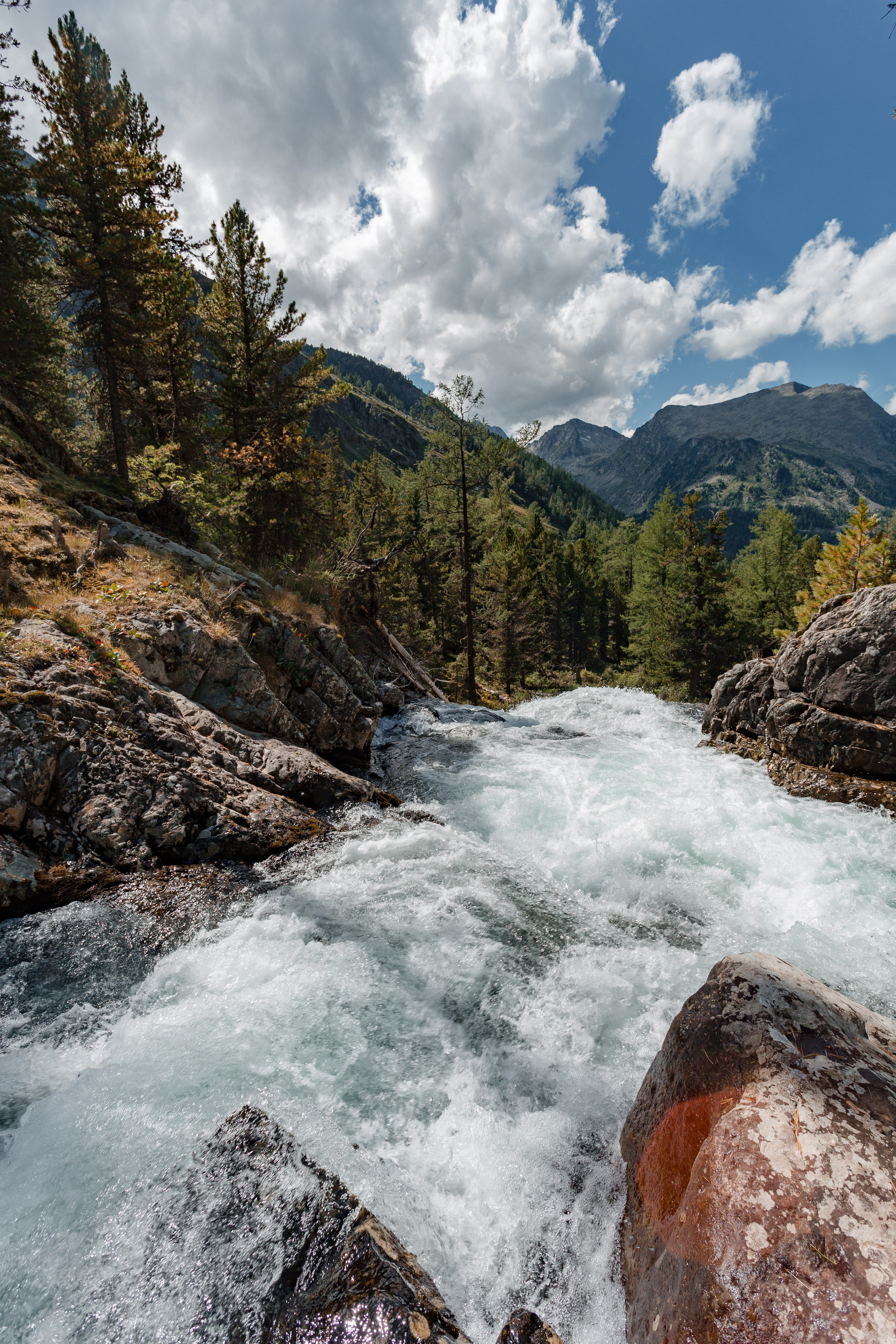 Катунский заповедник, Республика Алтай. Репортажный фотограф в Крыму Ксения Гасица