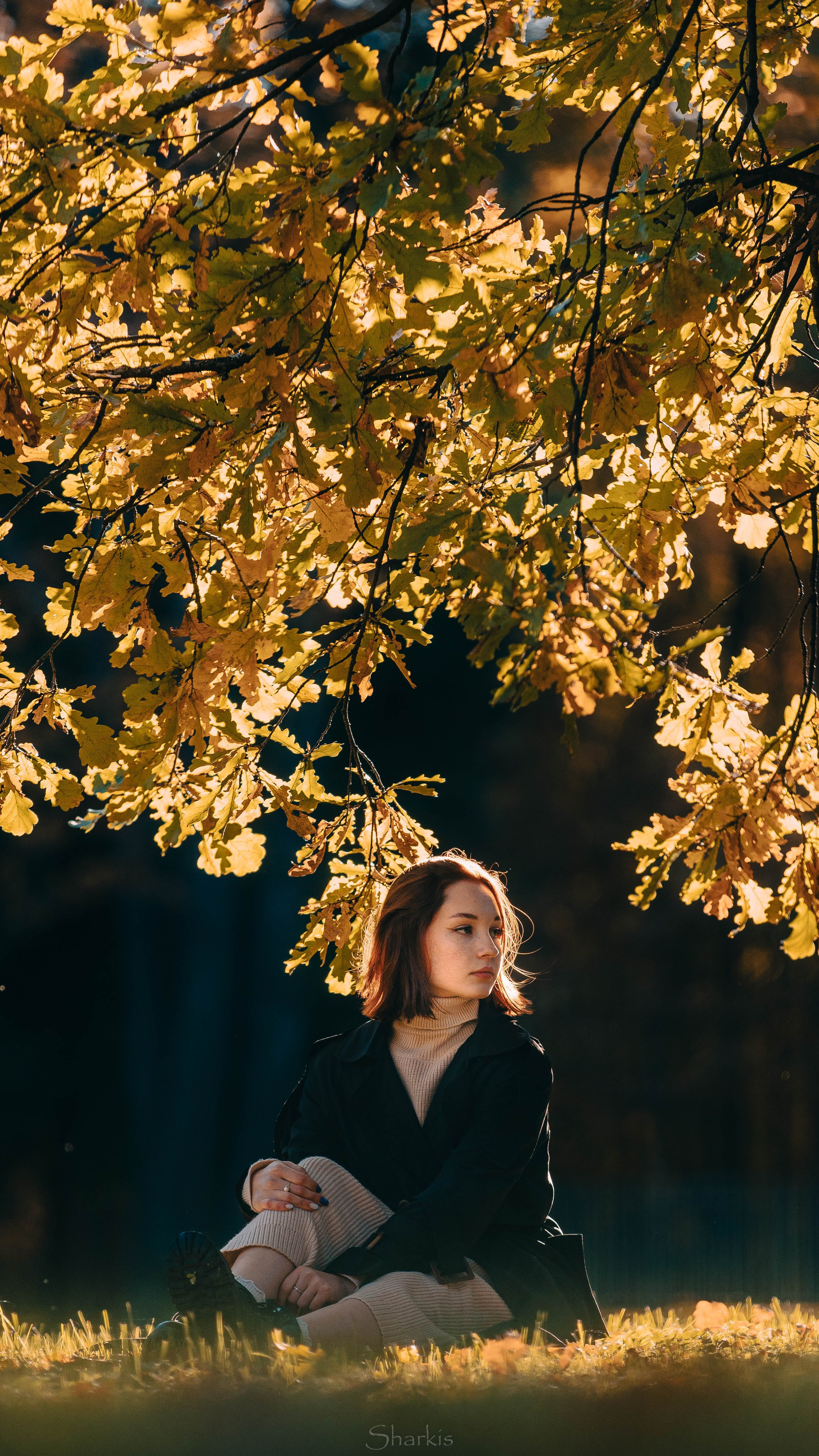 Света. Главная