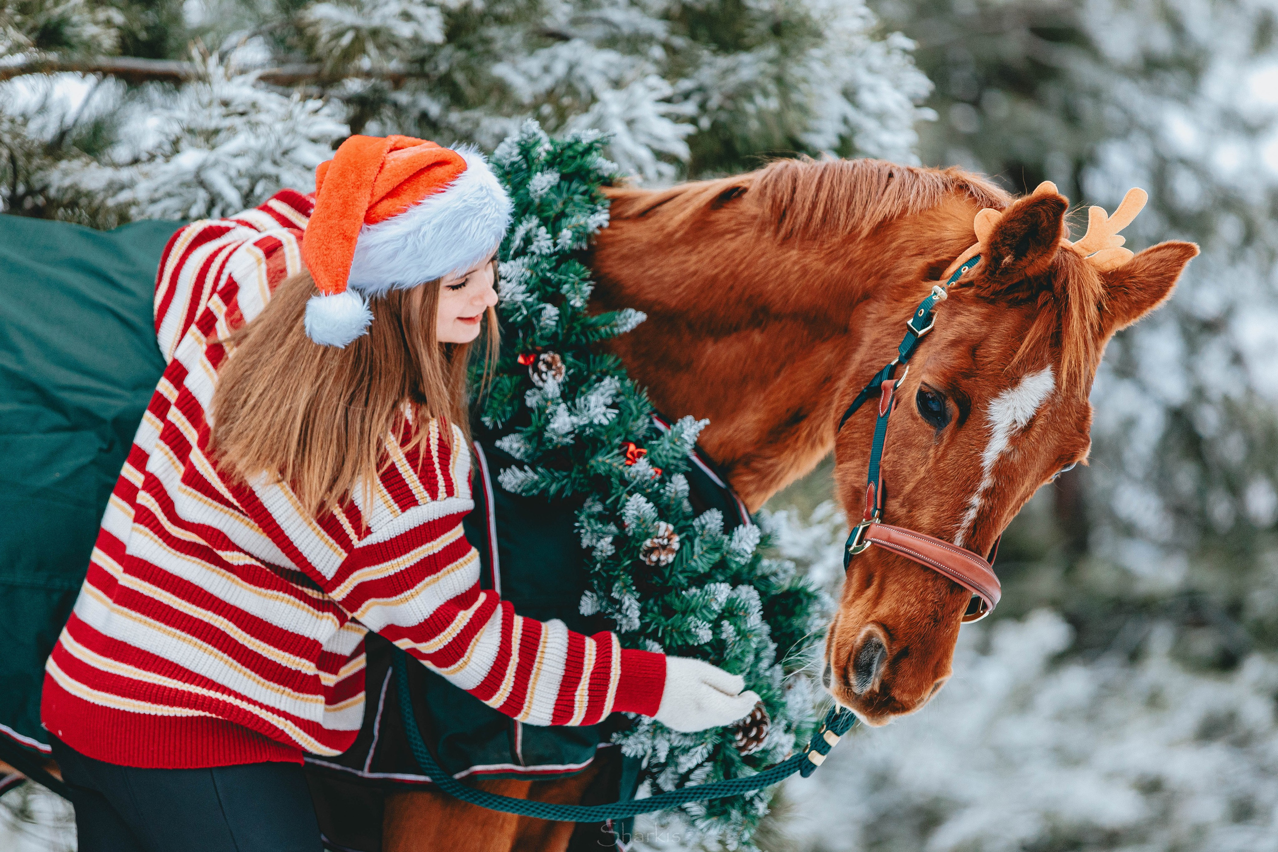 Фото день в ЧК «Орлёнок» — Новый год. Главная
