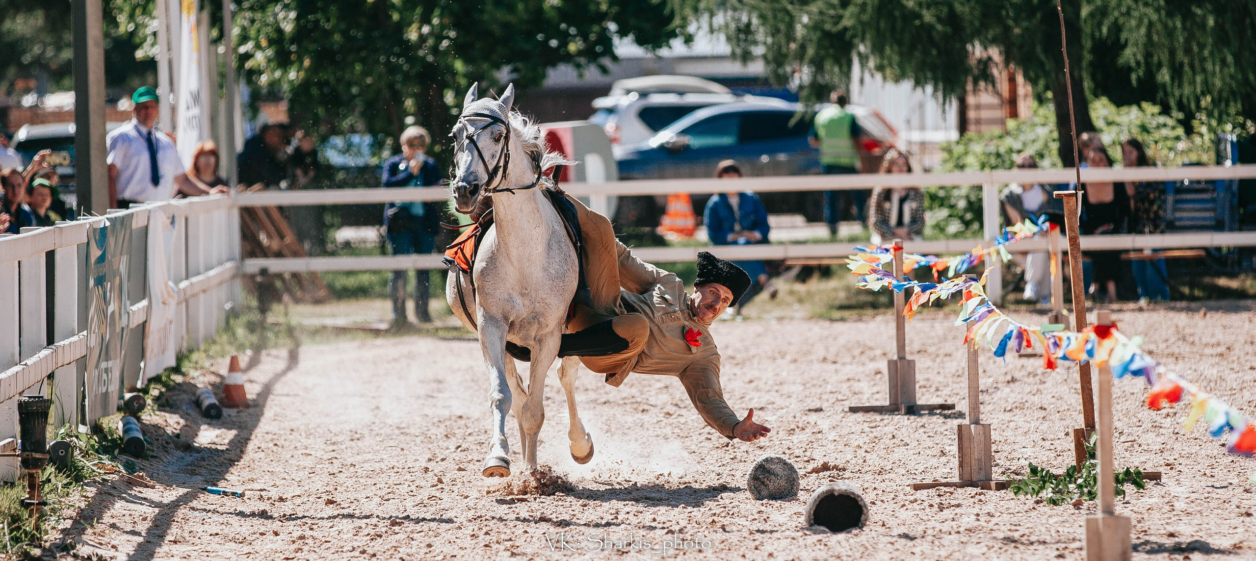 Лошади. Главная
