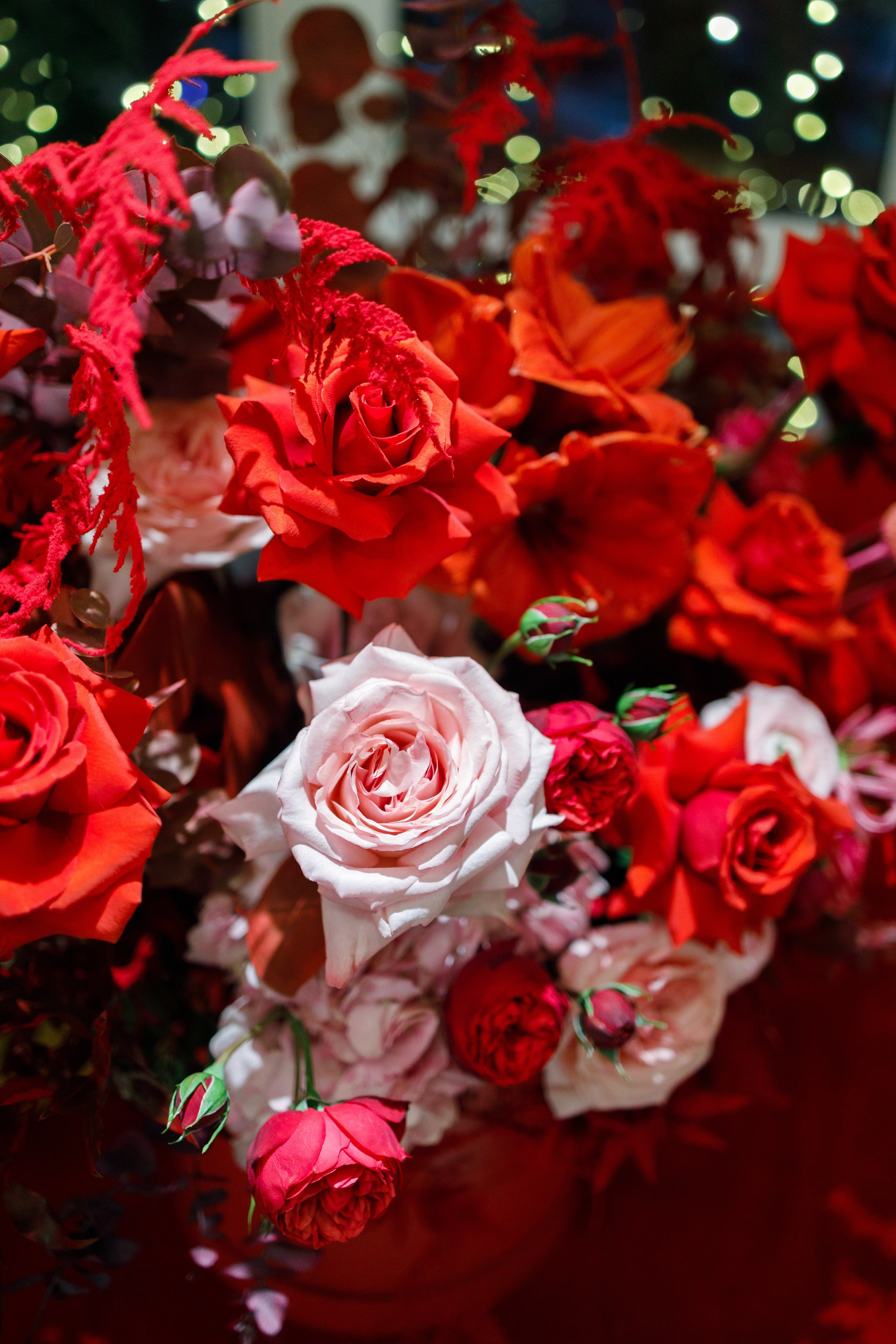 Портфолио репортаж. Репортжаный и свадебный фотограф Москва, Влада Азарова