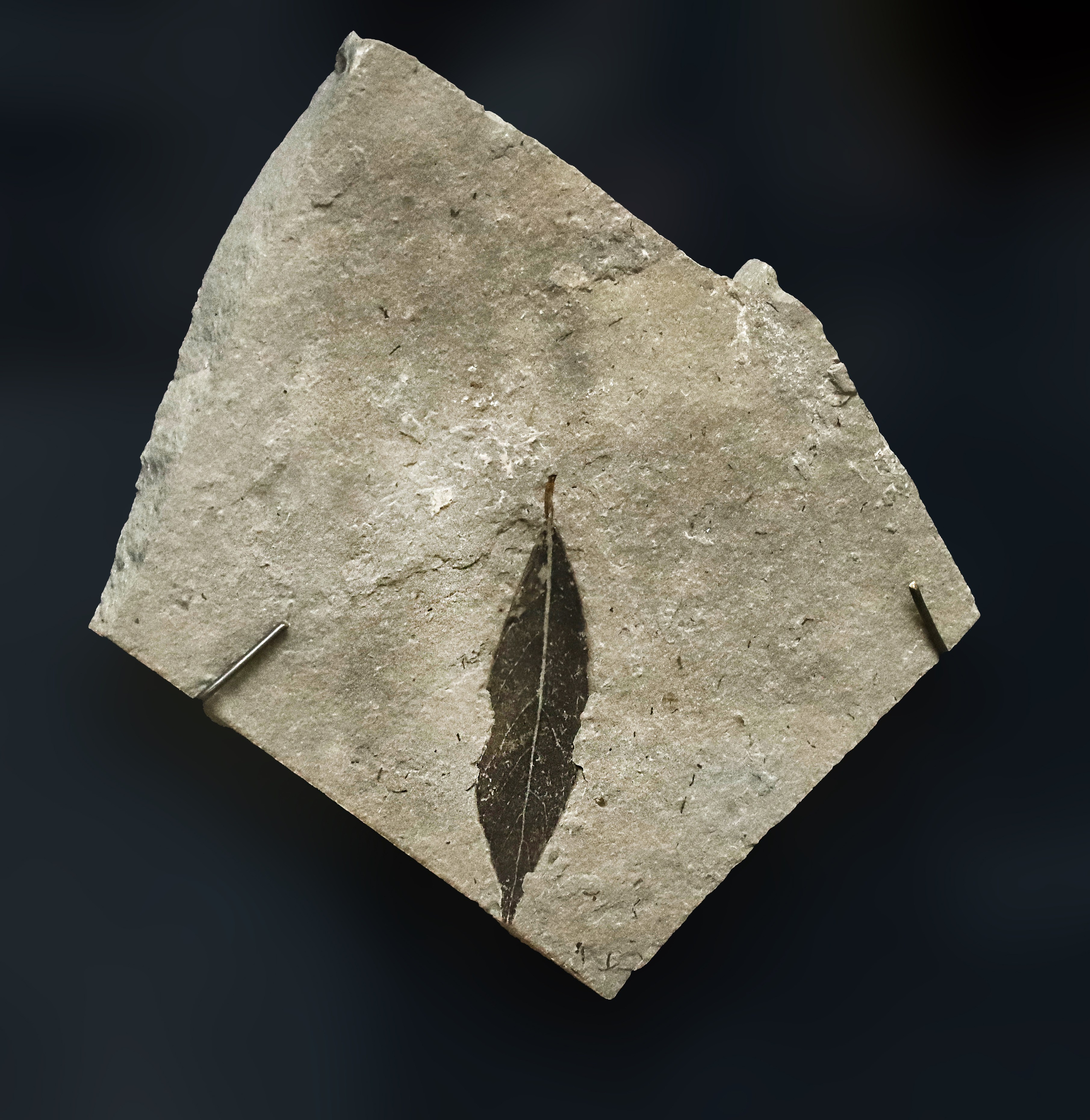 Каменная летопись. Фотограф Юлия Маринина