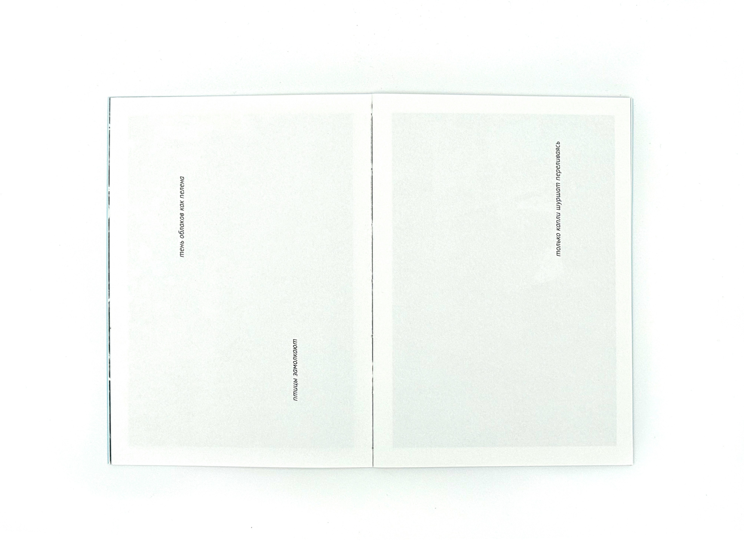 Начало дождя. Лера Круглова