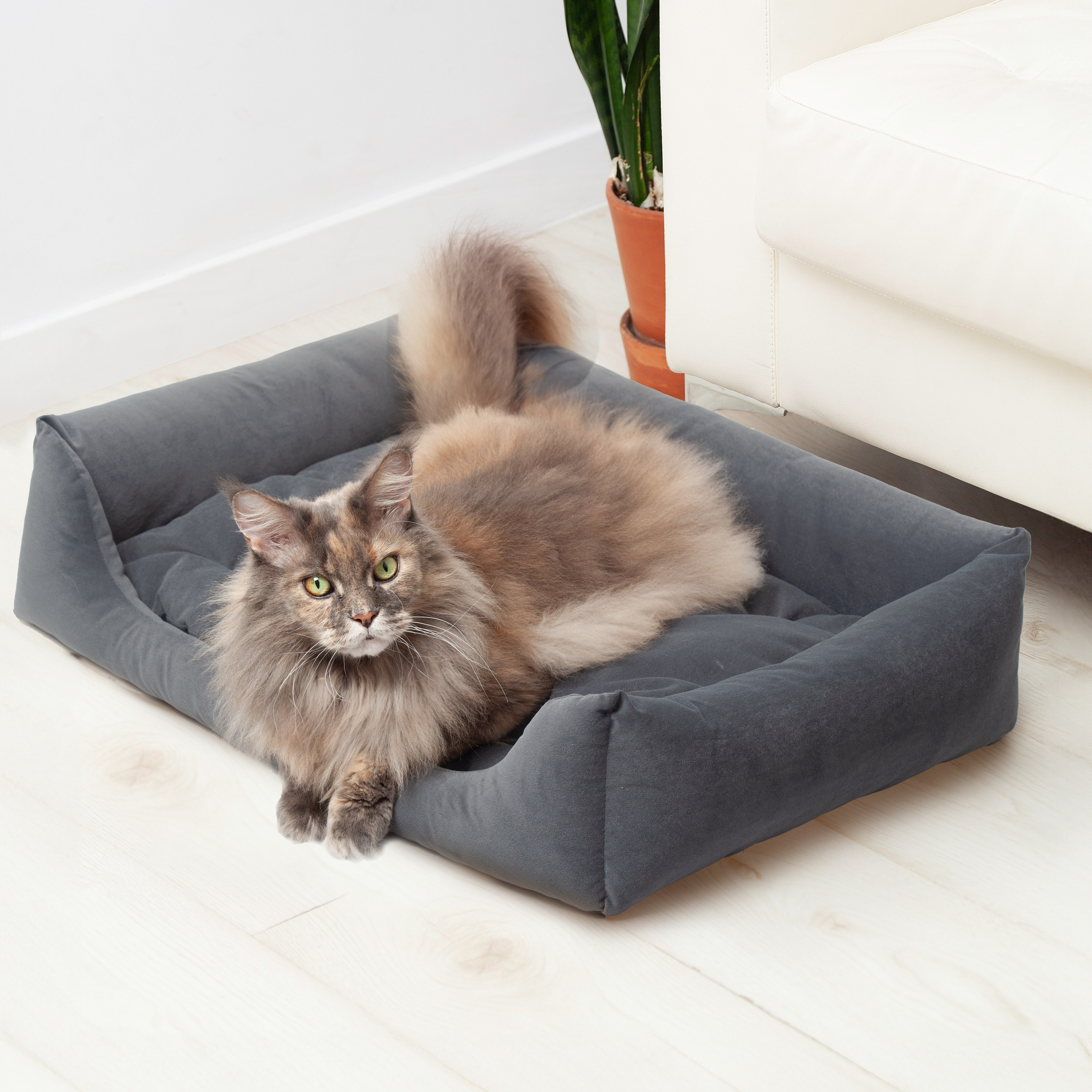 Юлия Василенко, Предметный фотограф Барнаул, бьюти съемка ,съемка крема, косметика, фото для бренда в Барнауле, фото для маркетплейсов, съёмка для упаковки, фото упаковка, прайс на предметную фотосъемку, фотосъемка для производителя, предметная съемка