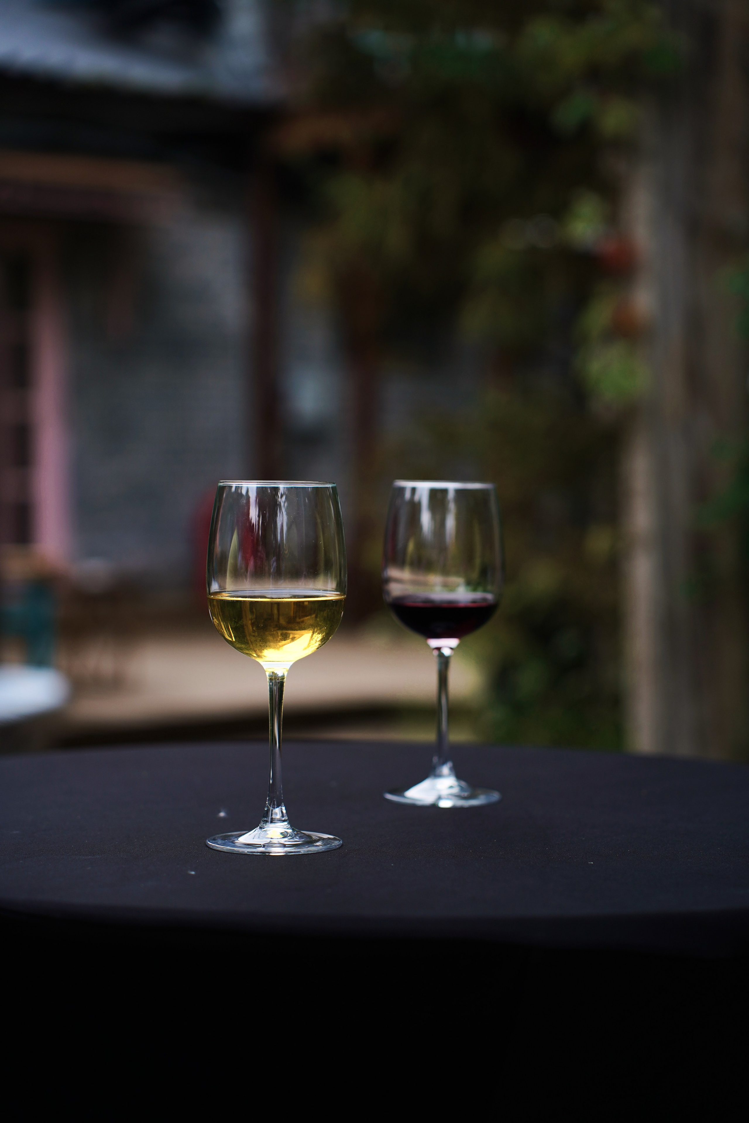 Летний корпоратив. Фотограф