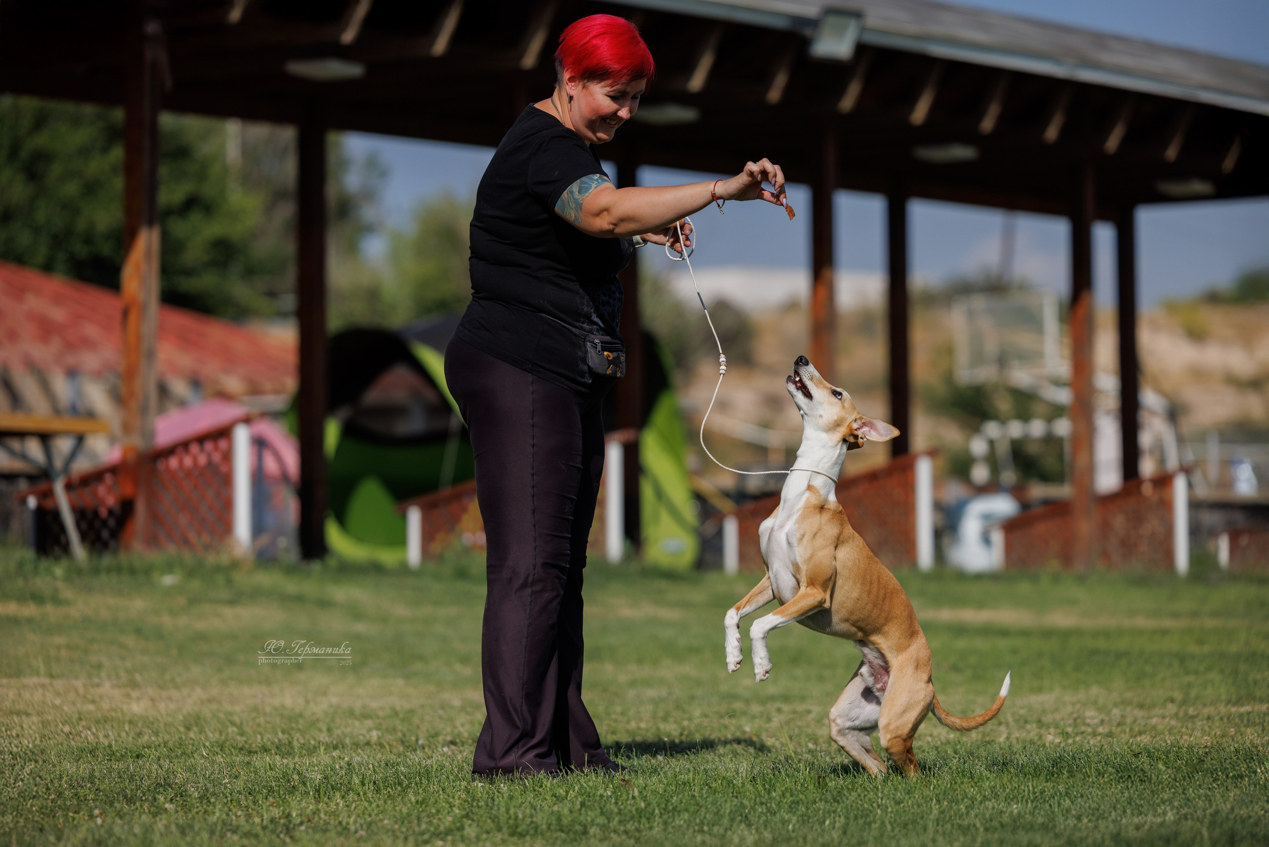 Ереван 3хCACIB 23-25.06.2025. Фотограф-анималист Юлия Германика