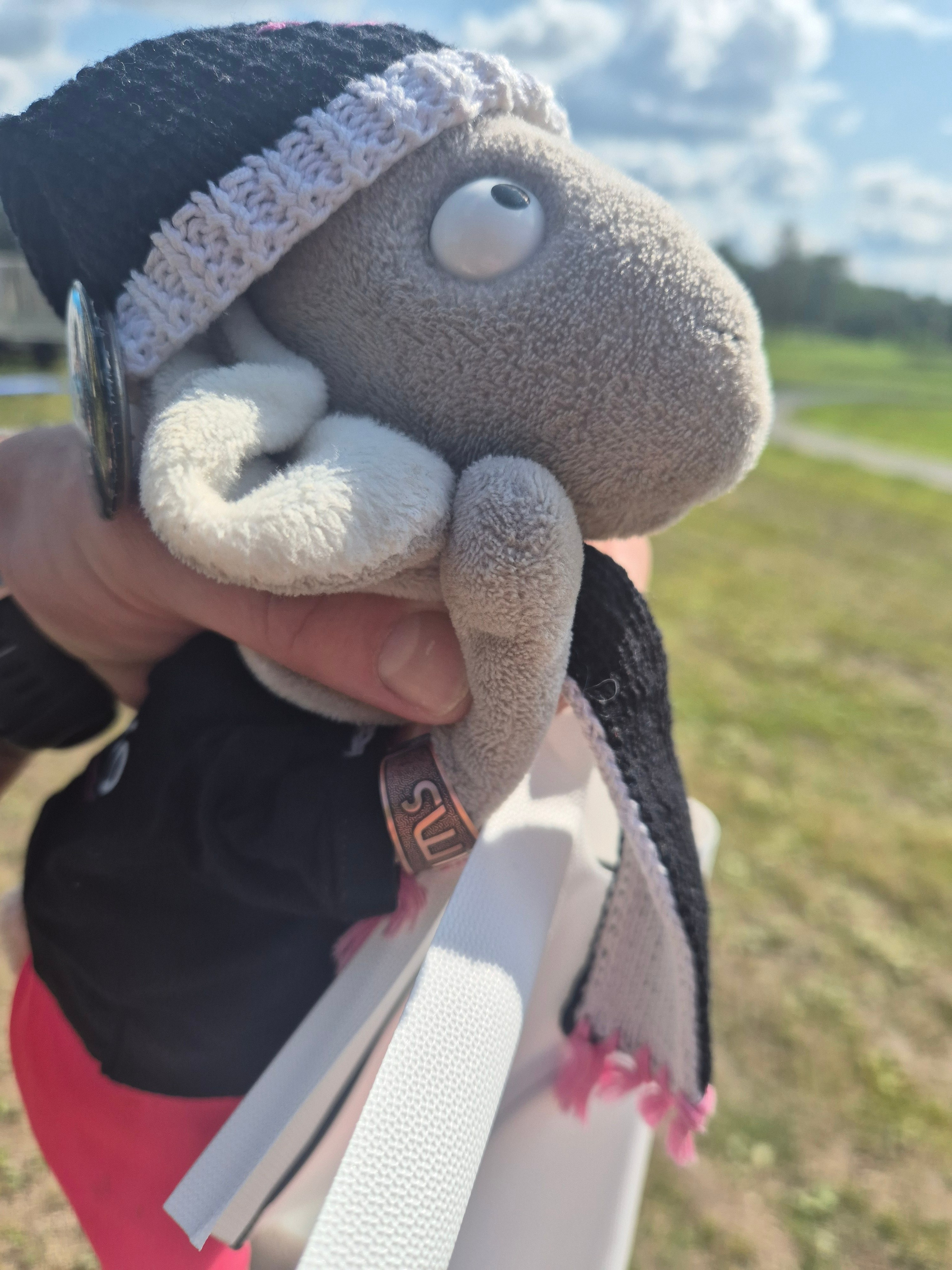 Призом - кольцо всевластия SwimCup. ПсихоЗязя - повелитель рек, водоемов и резиновых уточек