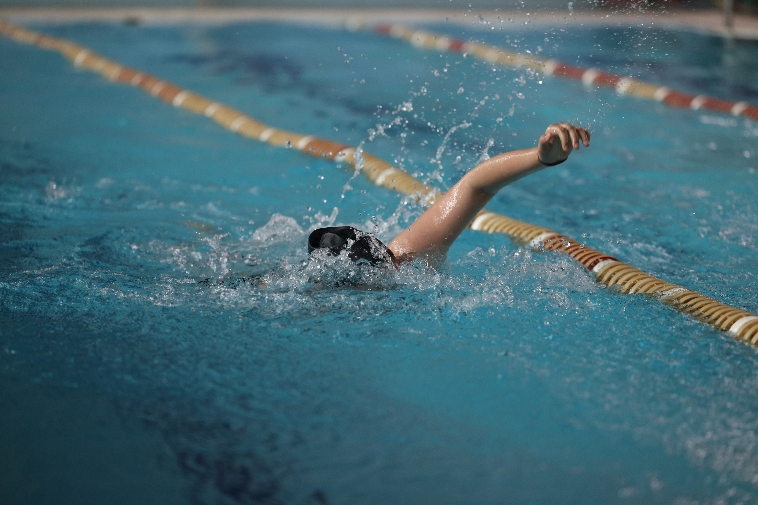 Веселый дельфин. Плавание. Дети 8-9 лет. Фотограф Александр Заломаев