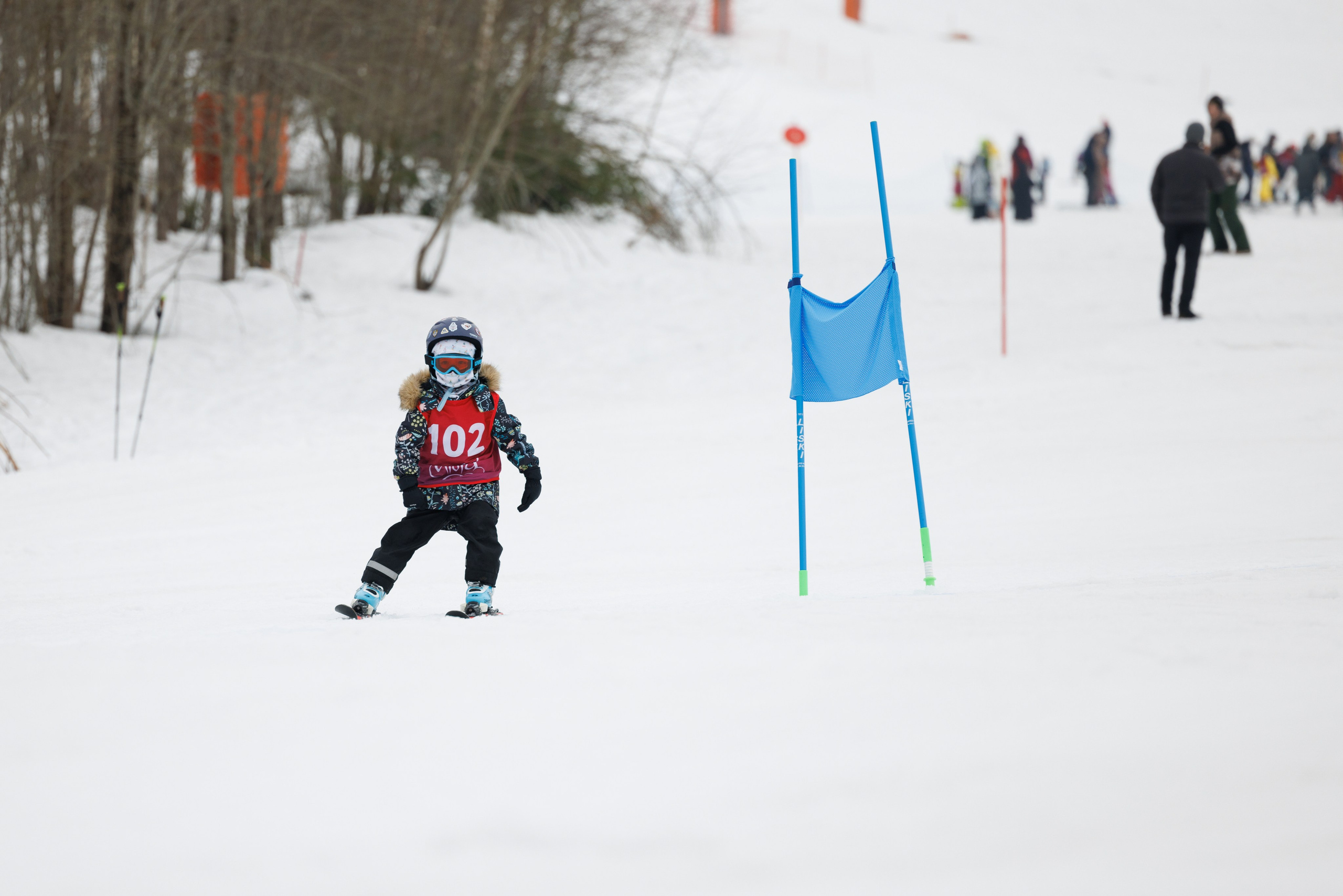 IGORA KIDS CUP 2024(spring). Фотограф Александр Заломаев