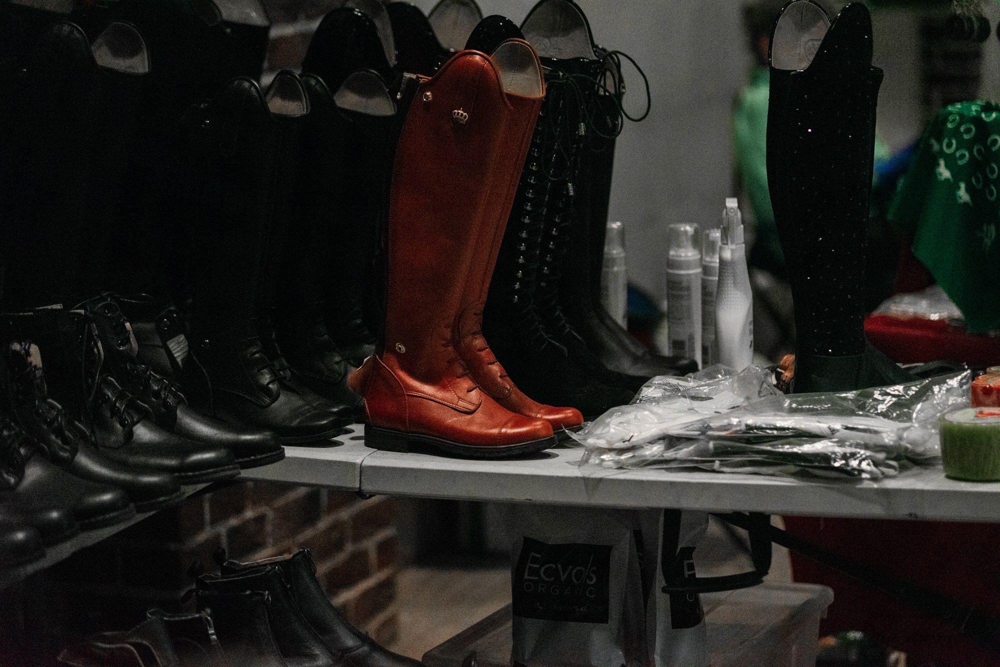 8-я международная выставка Конная Россия. Конный фотограф Куракина Дарья • Фотосессии с лошадьми