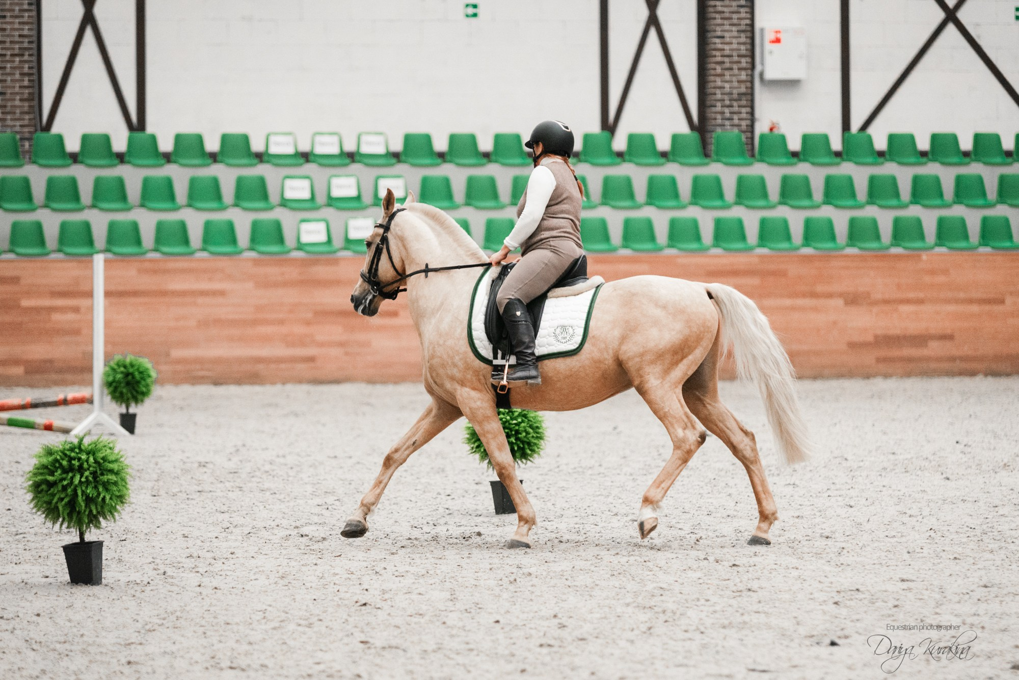 8-я международная выставка Конная Россия. Конный фотограф Куракина Дарья • Фотосессии с лошадьми