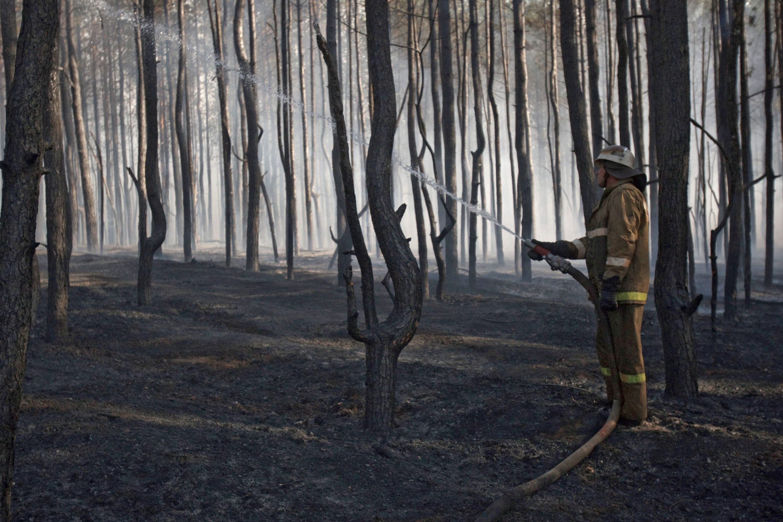 2010 — Гран-при. Фотообъединение Самарского областного отделения Союза журналистов России