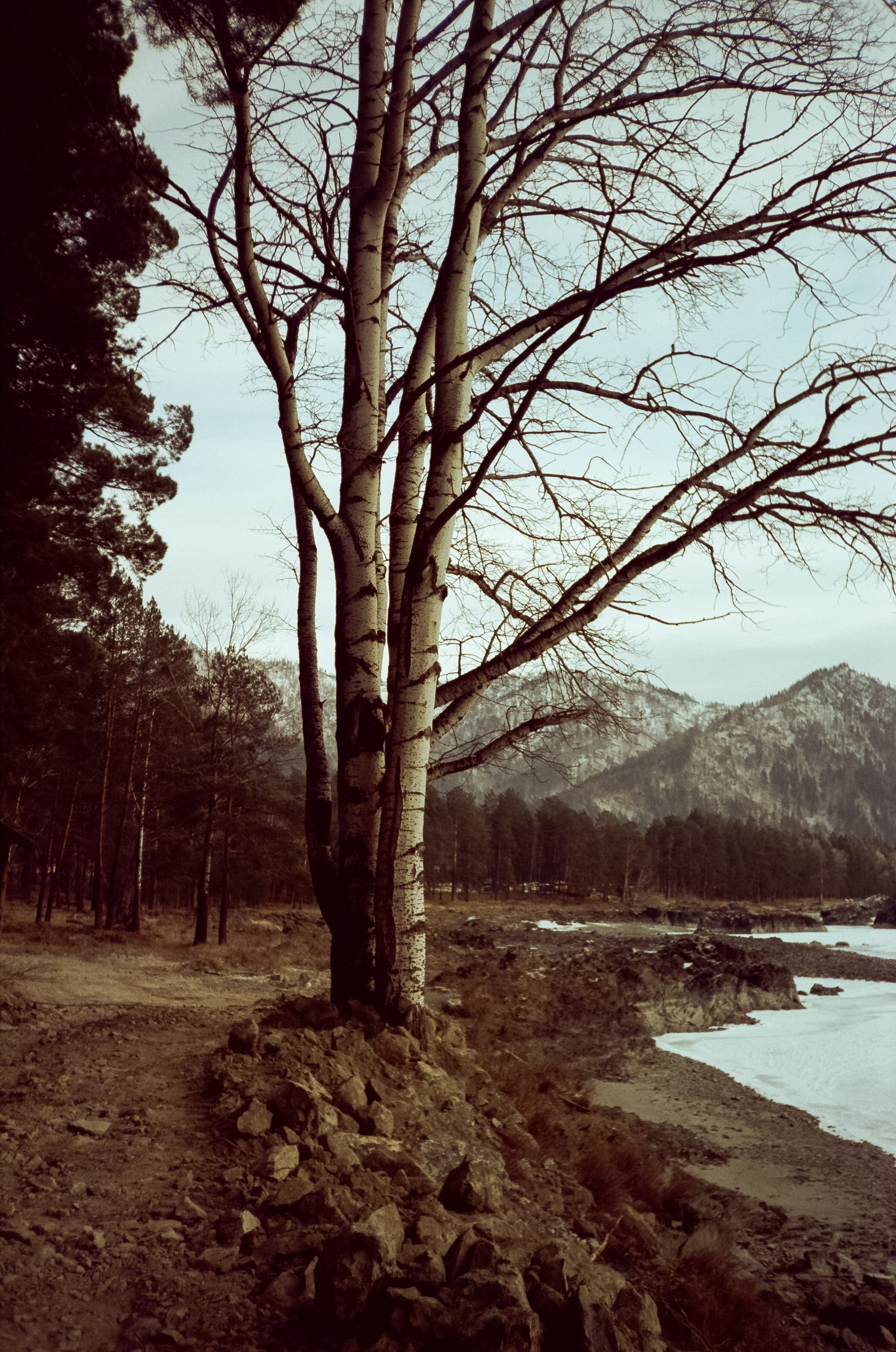 Сила Алтая и дорога в Манжерок. Land Cruiser и горы на закате. Фотограф-документалист Мария Осокина