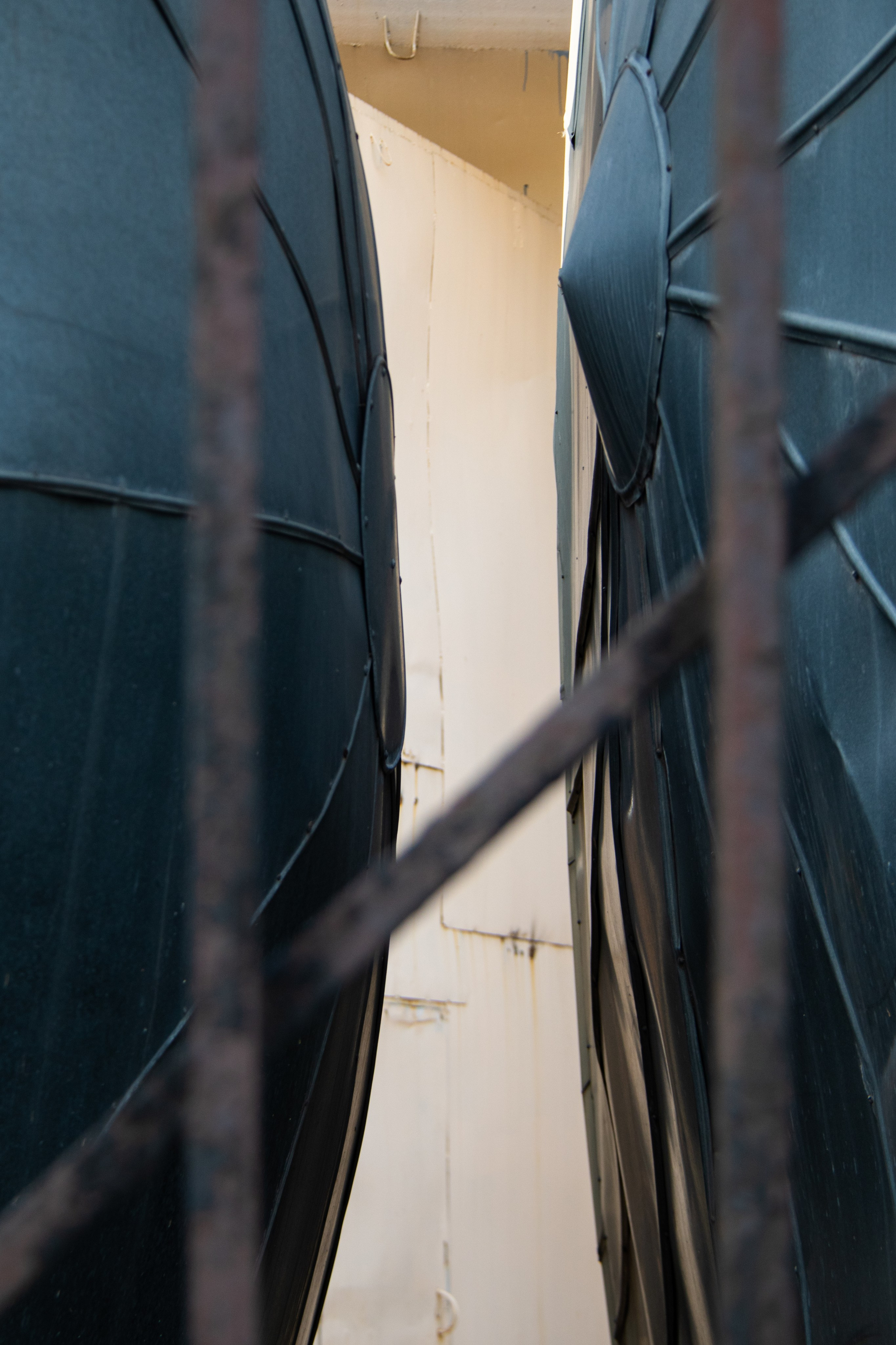 SNYT. An Alternative View of St. Petersburg’s Architecture. 2025. Janie valde |photographer & visual artist