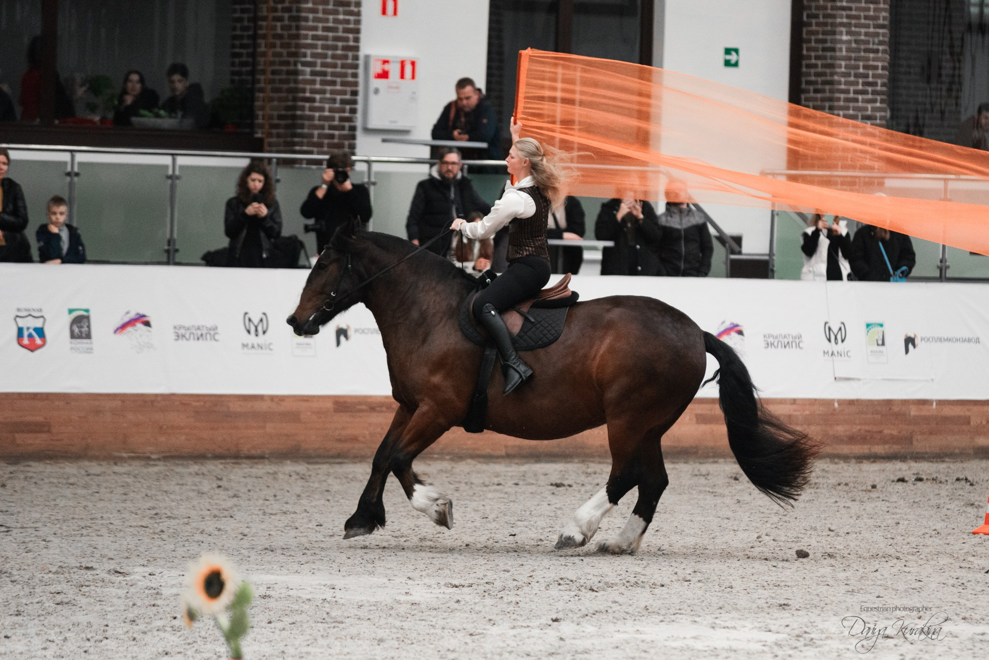 8-я международная выставка Конная Россия. Конный фотограф Куракина Дарья • Фотосессии с лошадьми