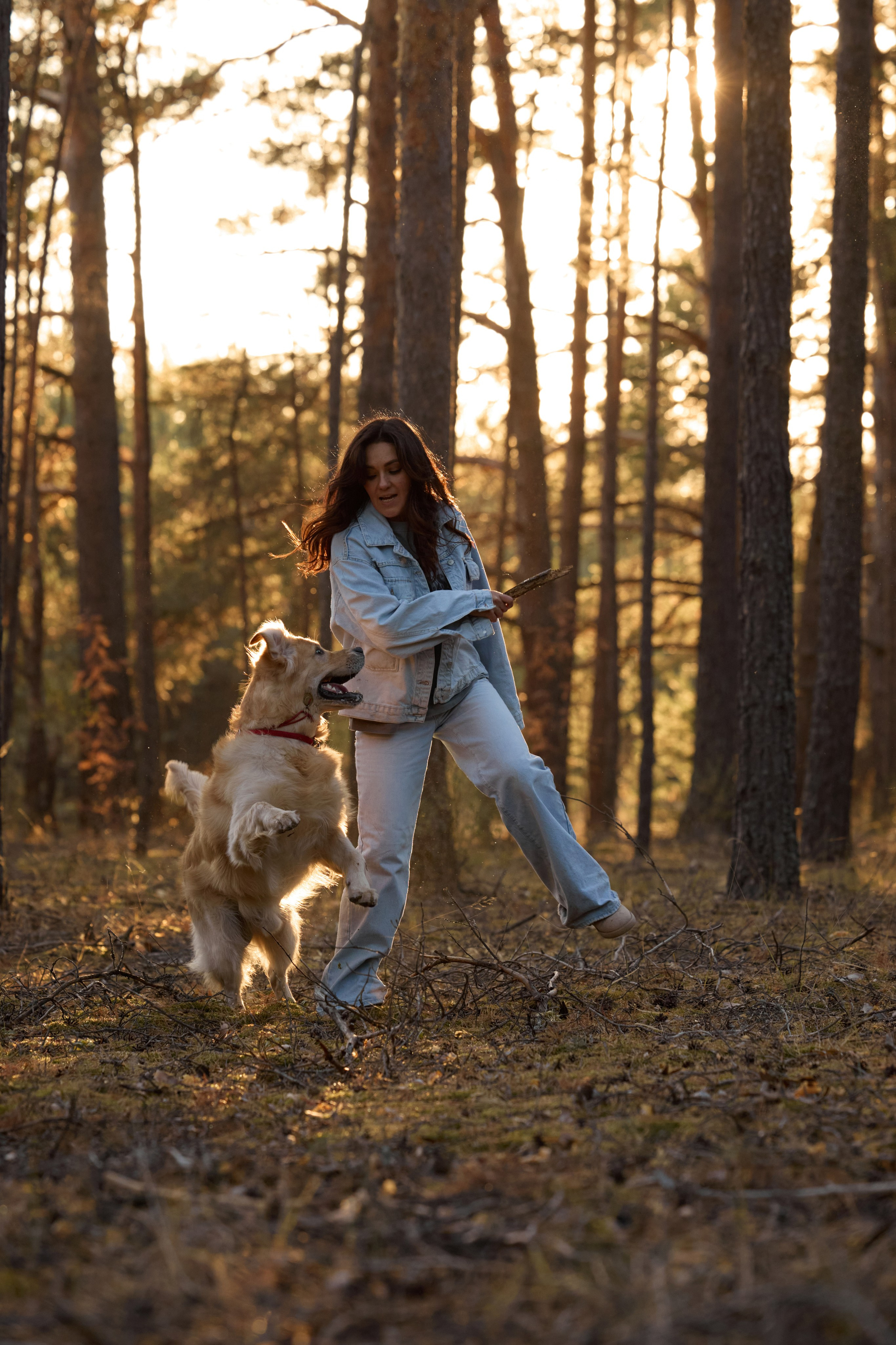 В Марийских лесах. Фотограф анималист в Казани Алина Сулейманова. Фотограф животных