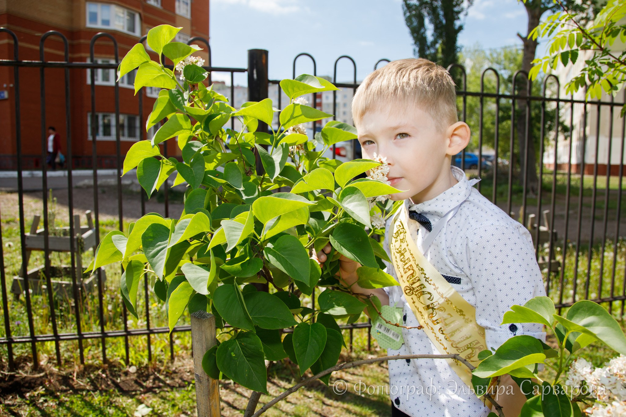 Выпуск детсада. Репортажный Фотограф